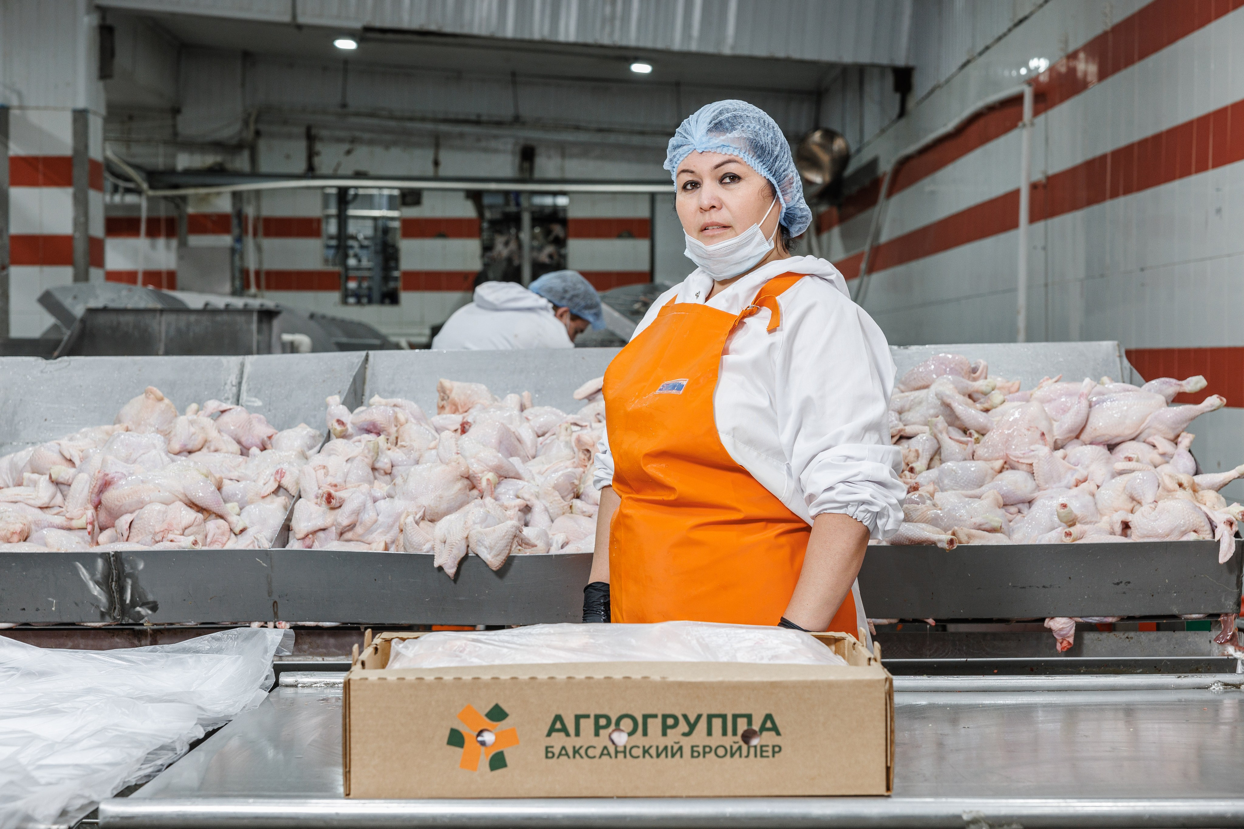 Баканский Бройлер. Фотограф Ставрополь Петр Голубенко