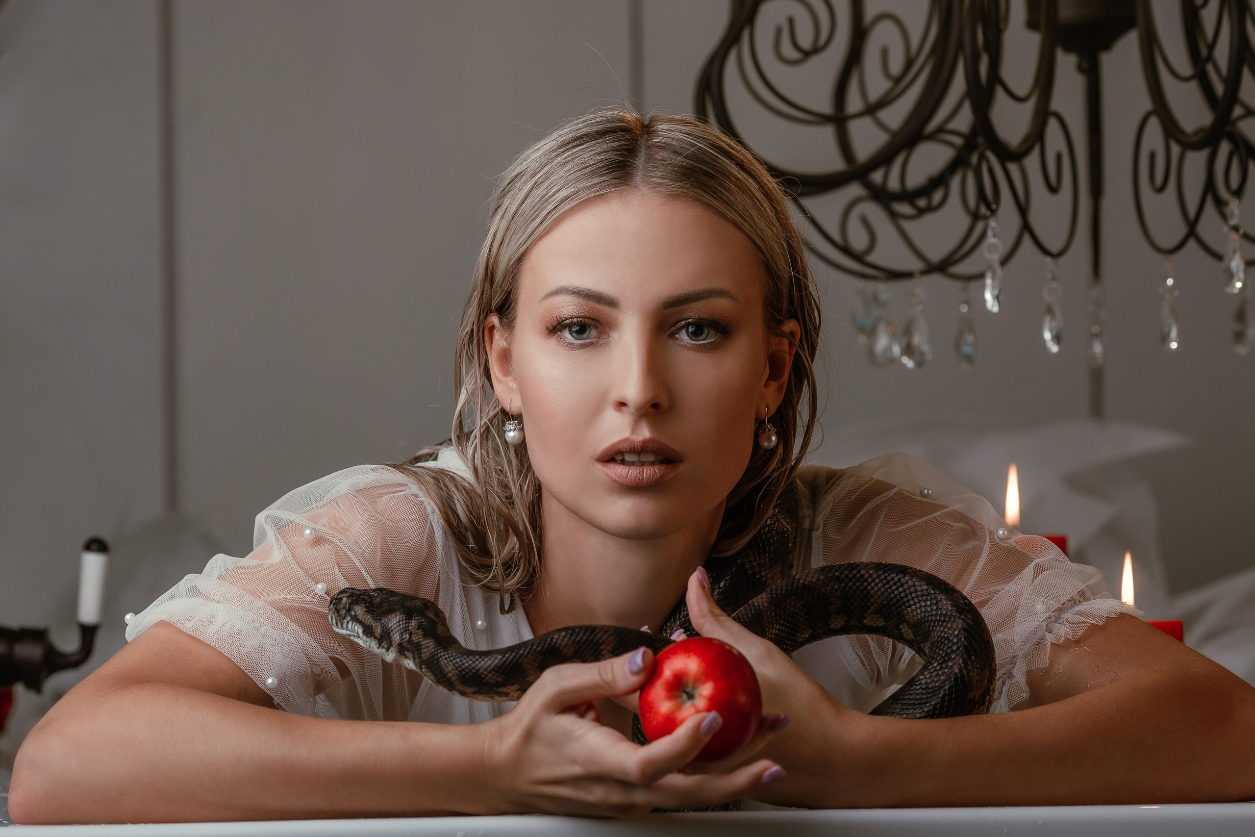 Змеи. Фотограф Новороссийск