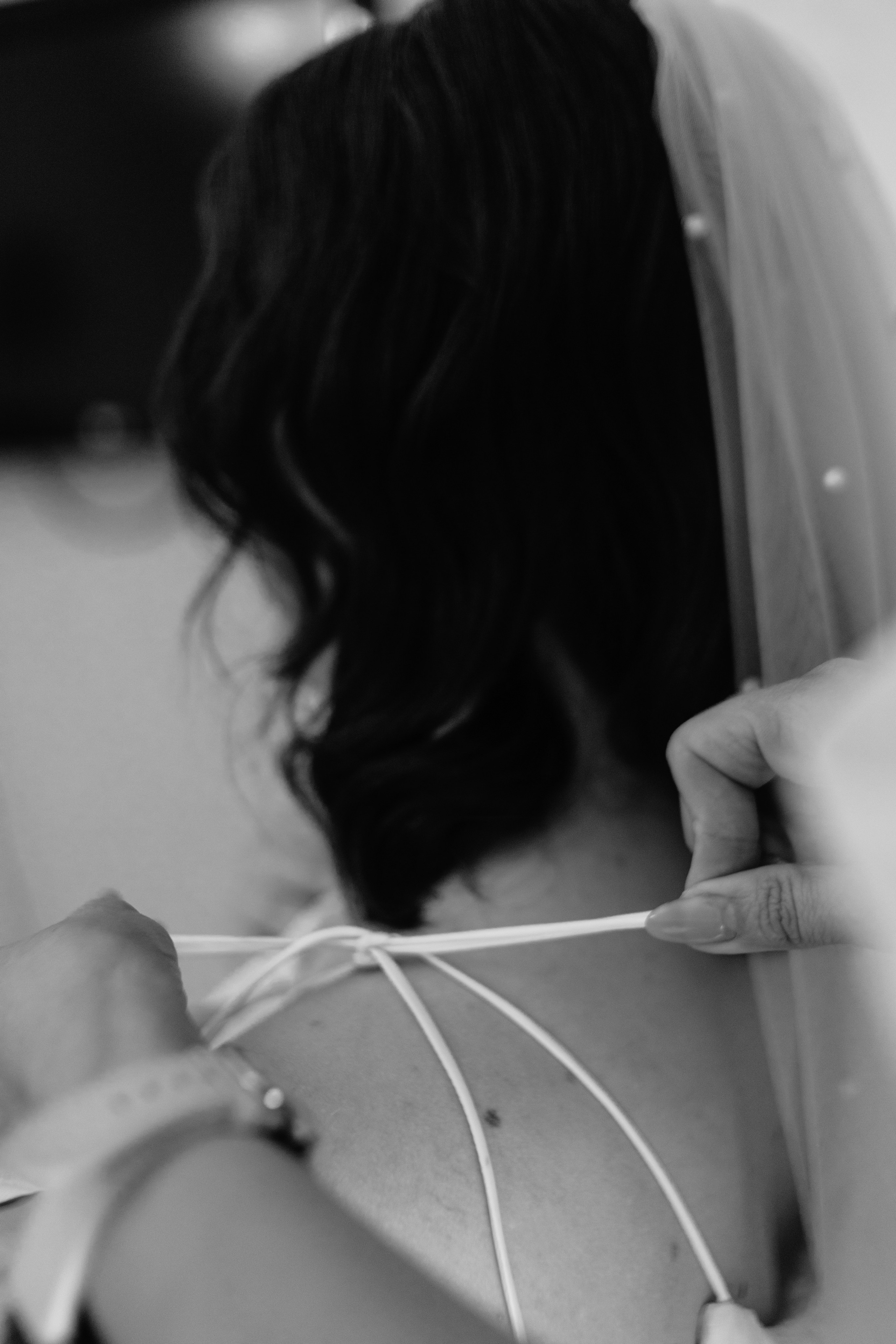 Свадебная фотосессия в Краснодаре. Свадебный и семейный фотограф в Краснодарском крае Мария Данилкина