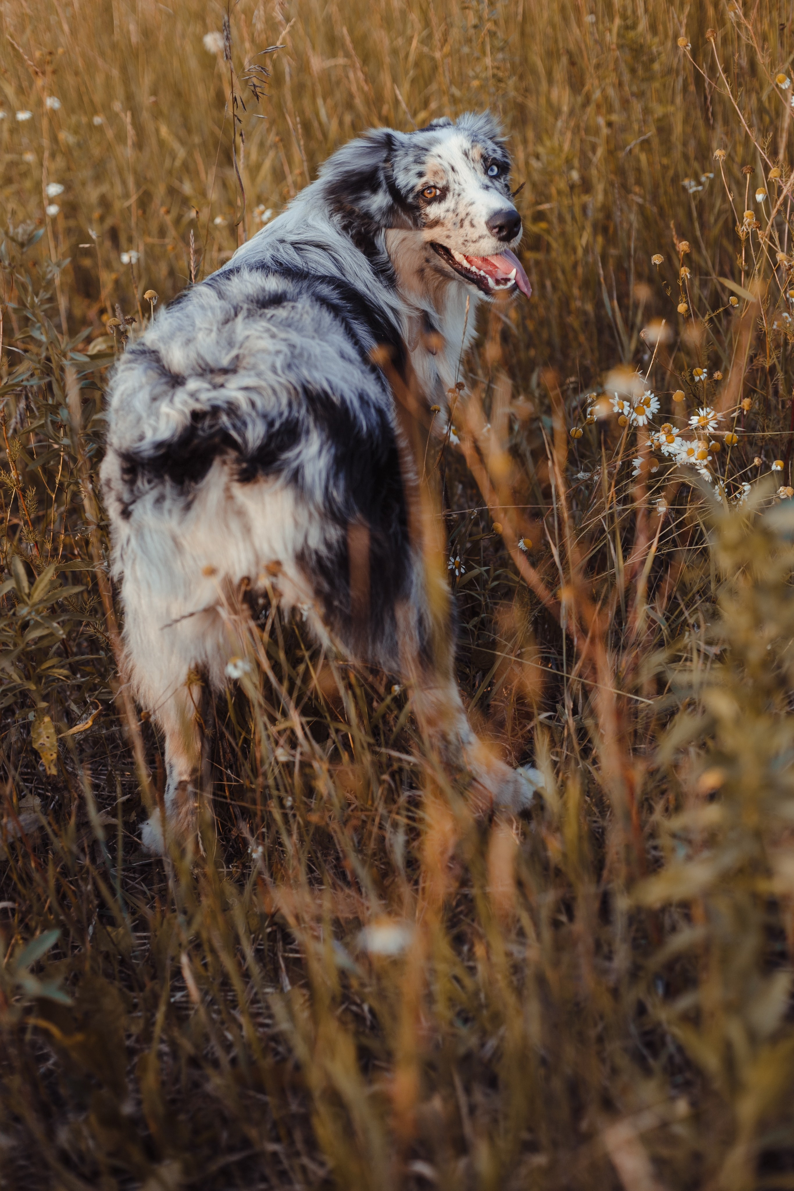 Mike. PHOTOGRAPHER romanoff-egor