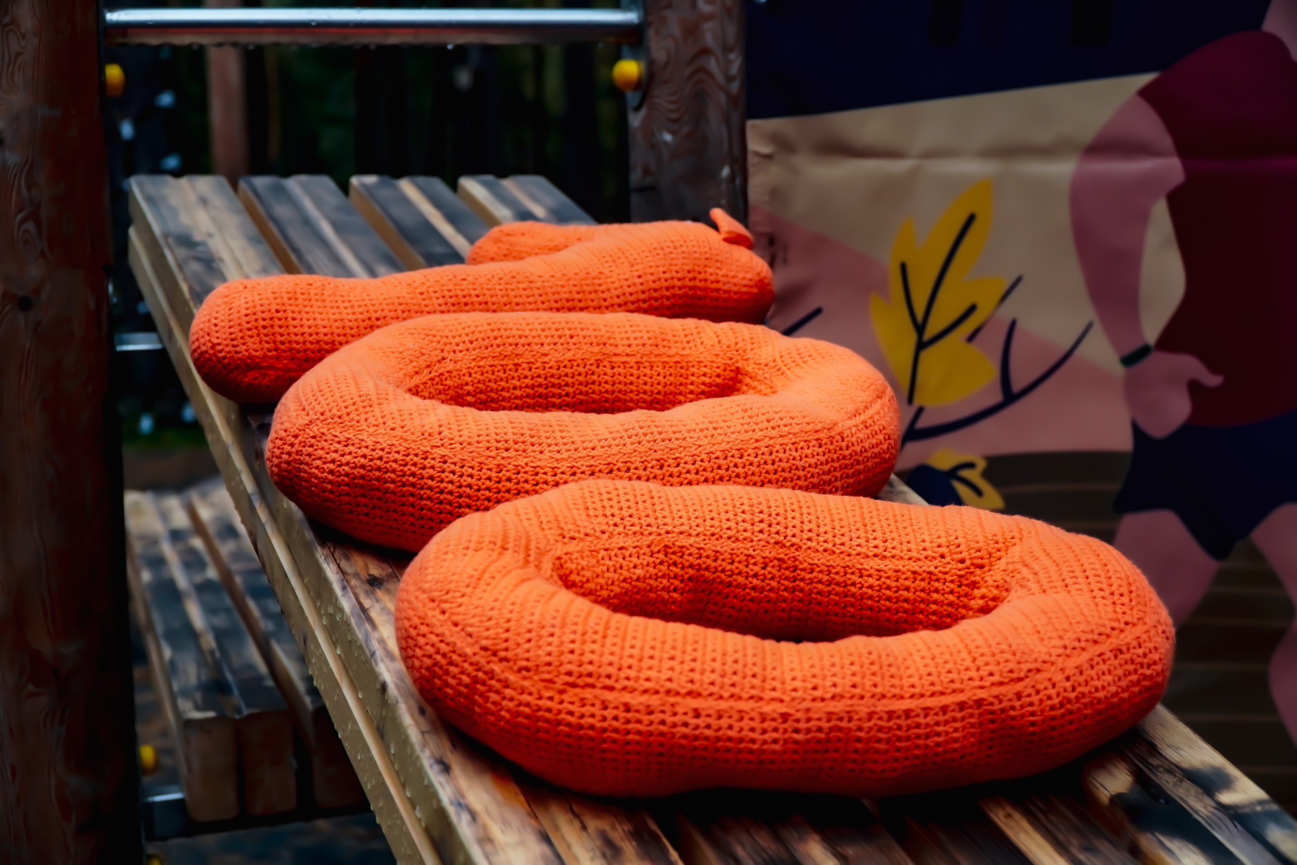 100-й забег 5 вёрст Томилинский