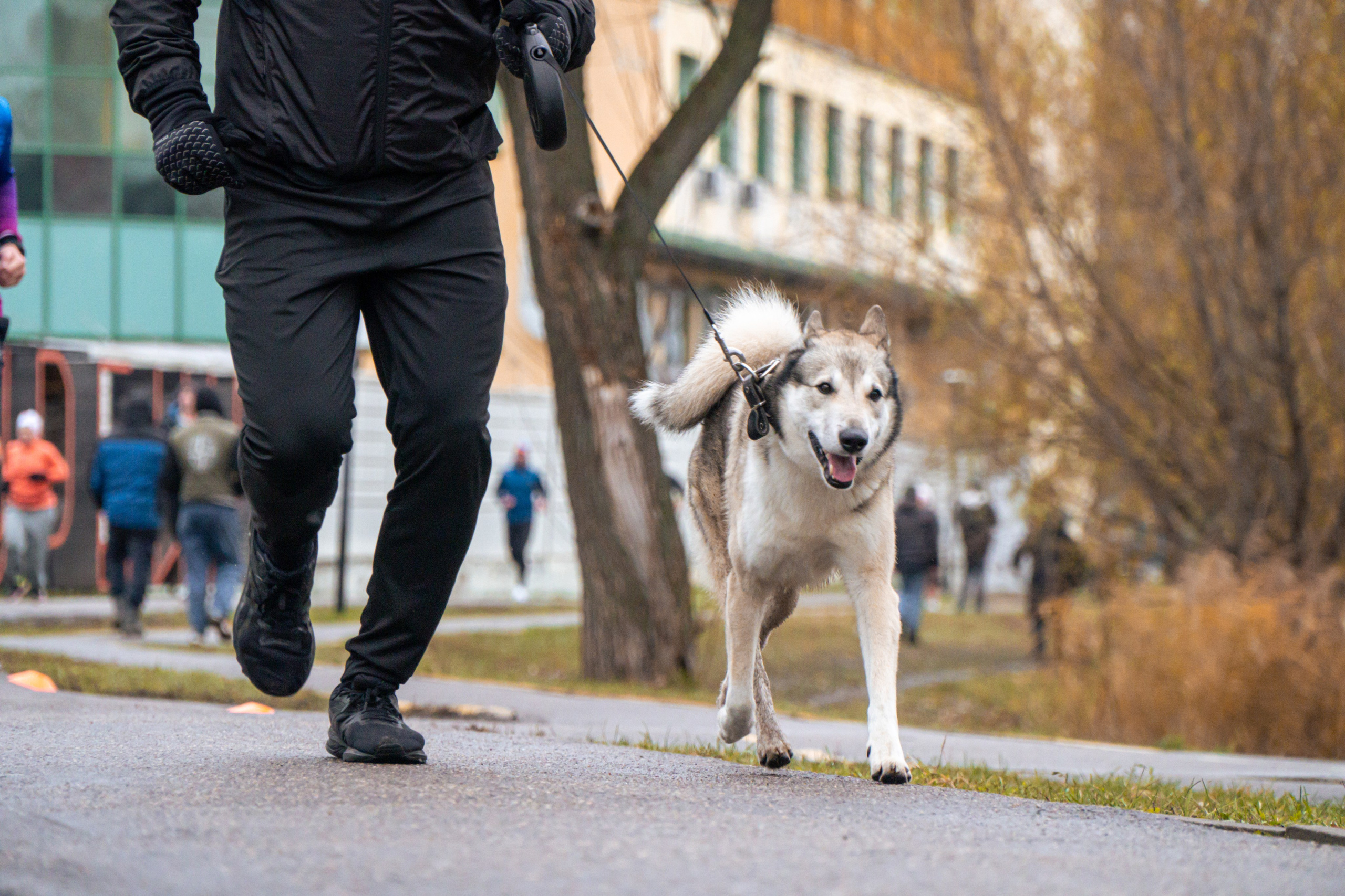 5 вёрст Реутов 16.11.2024. Роман Капилюшов. Бег. Фото. Видео. г. Люберцы