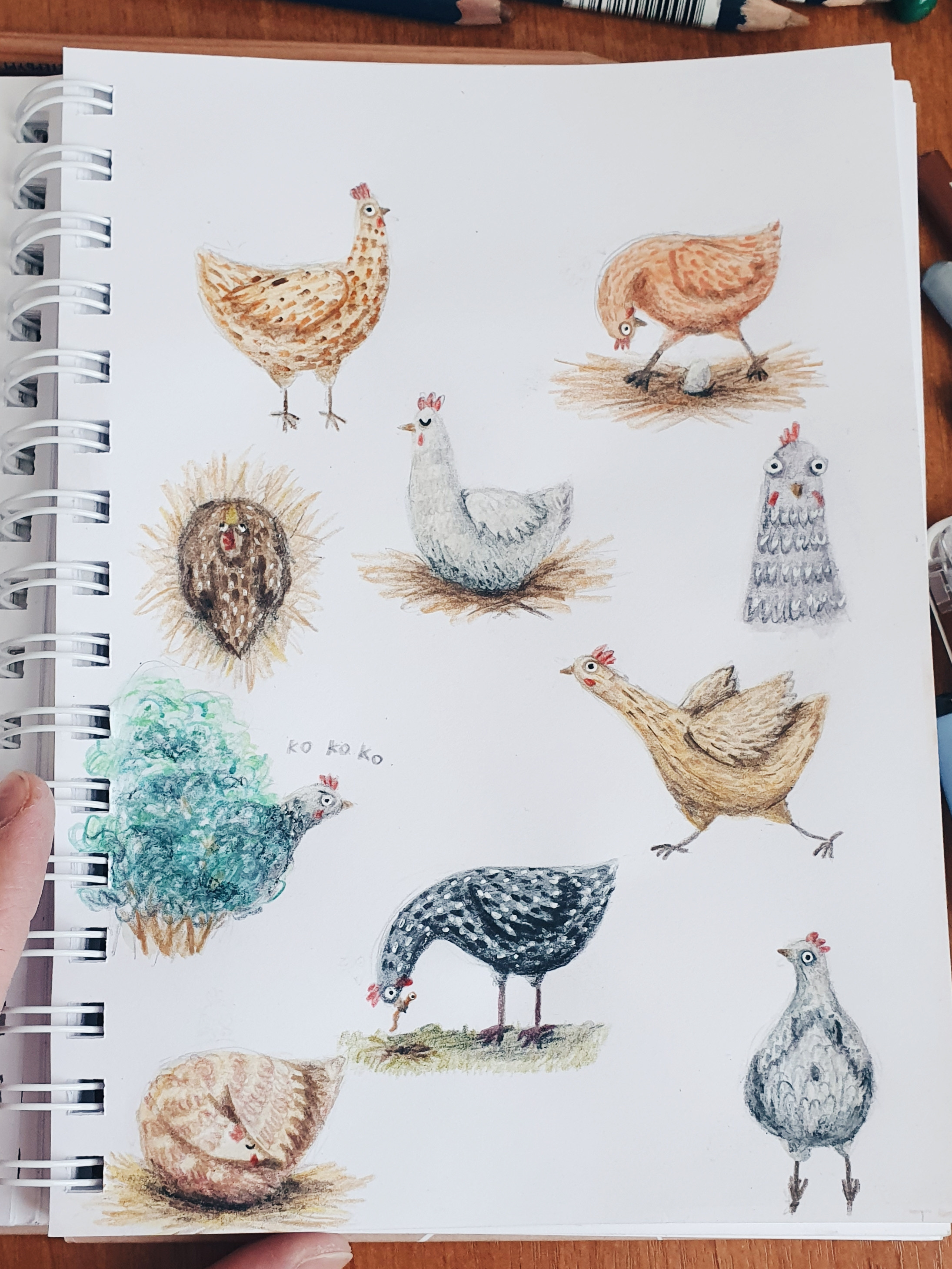 Иллюстратор | Аня Лёзина