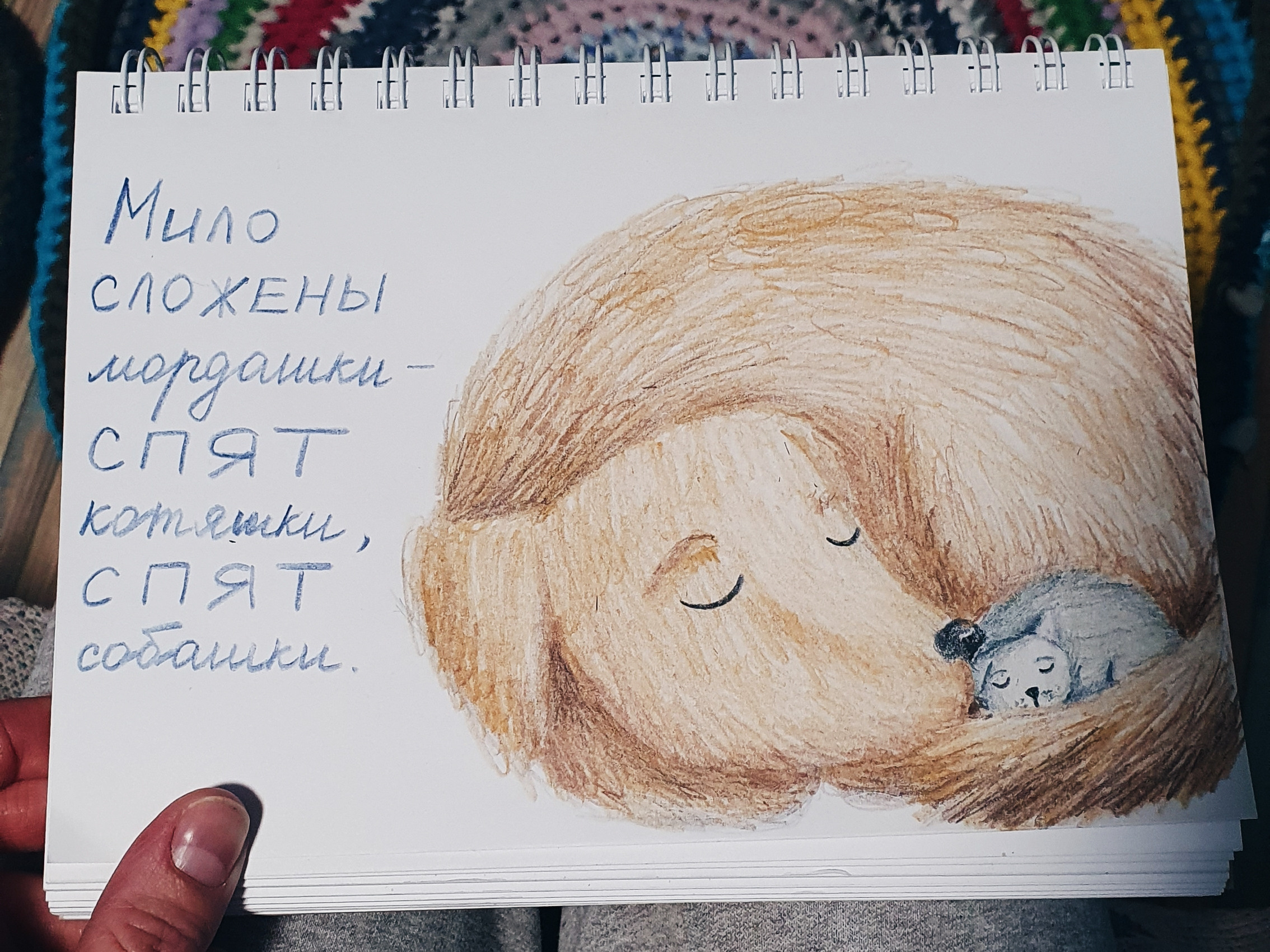 Иллюстратор | Аня Лёзина