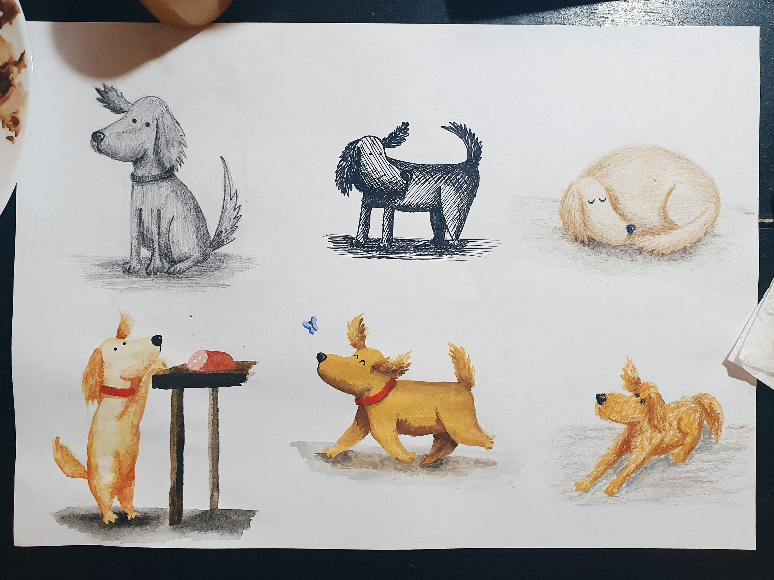 Иллюстратор | Аня Лёзина