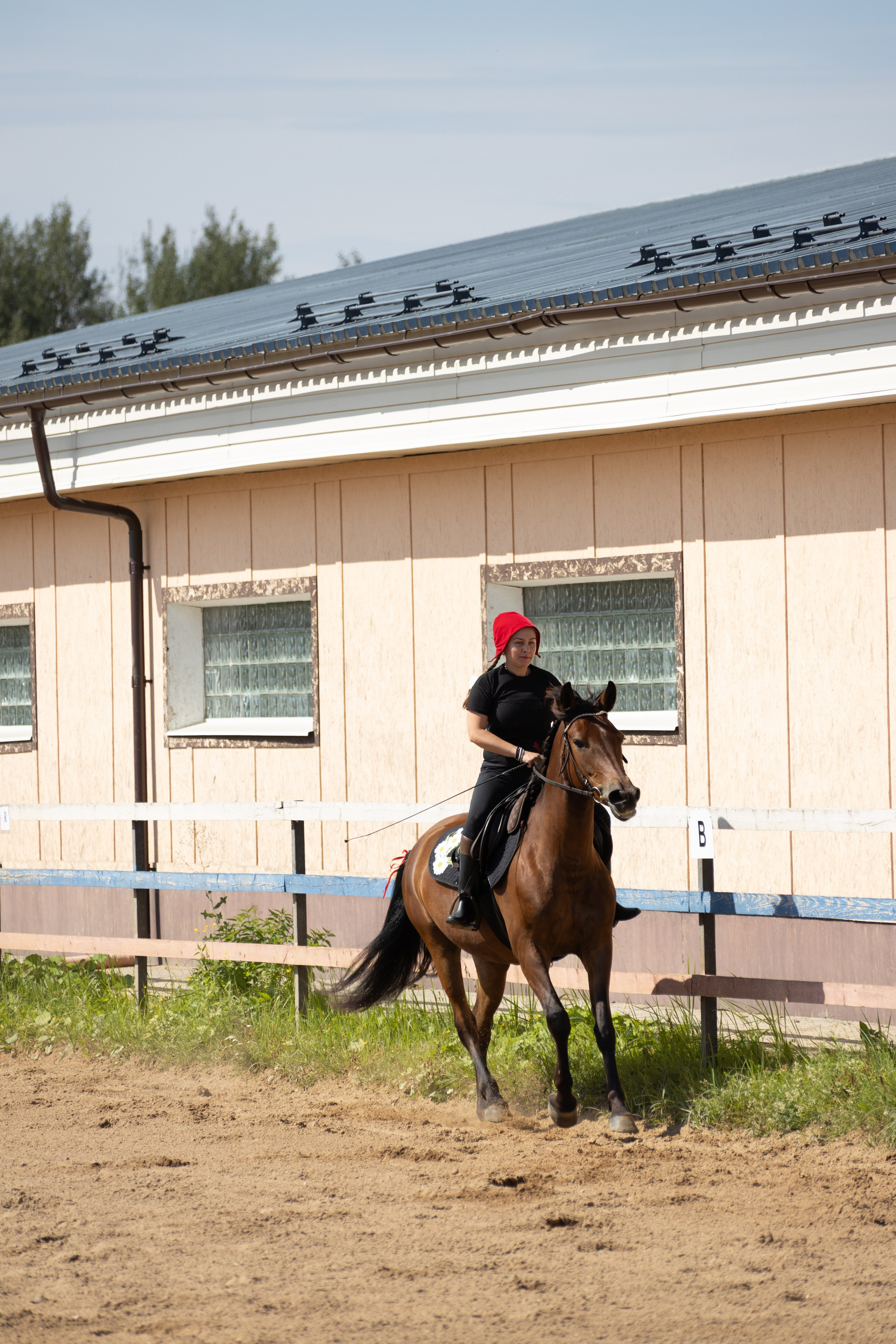 Конюшня. Фотограф в Москве и Истре