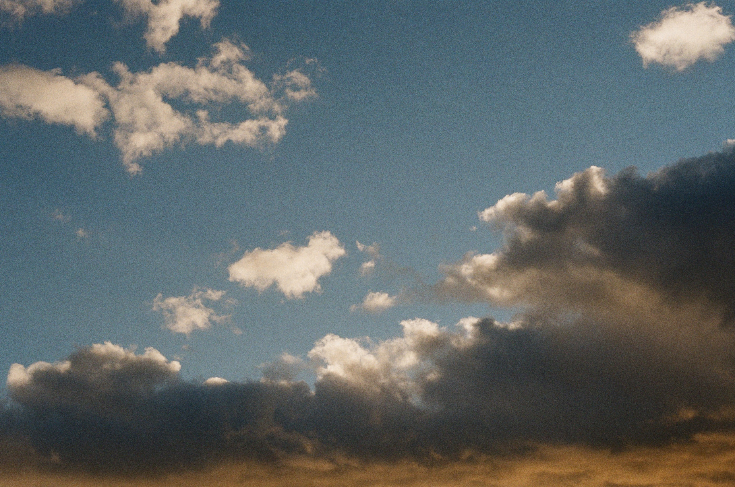 Фотосессия на пленку, свадьба, портреты, ивенты в Москве. Кизя Мисриева — фотограф: плёнка, цифра. Москва и не только