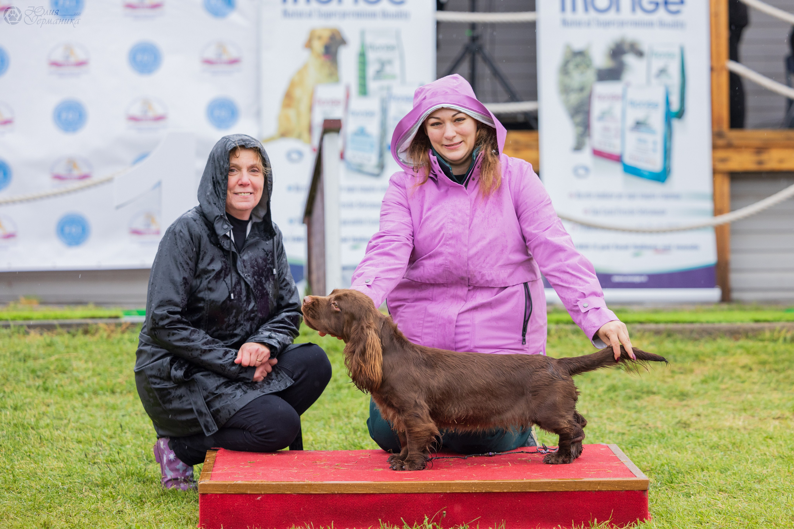 Армения,Ереван 3хCACIB 15-17.10.2024. Фотограф-анималист Юлия Германика