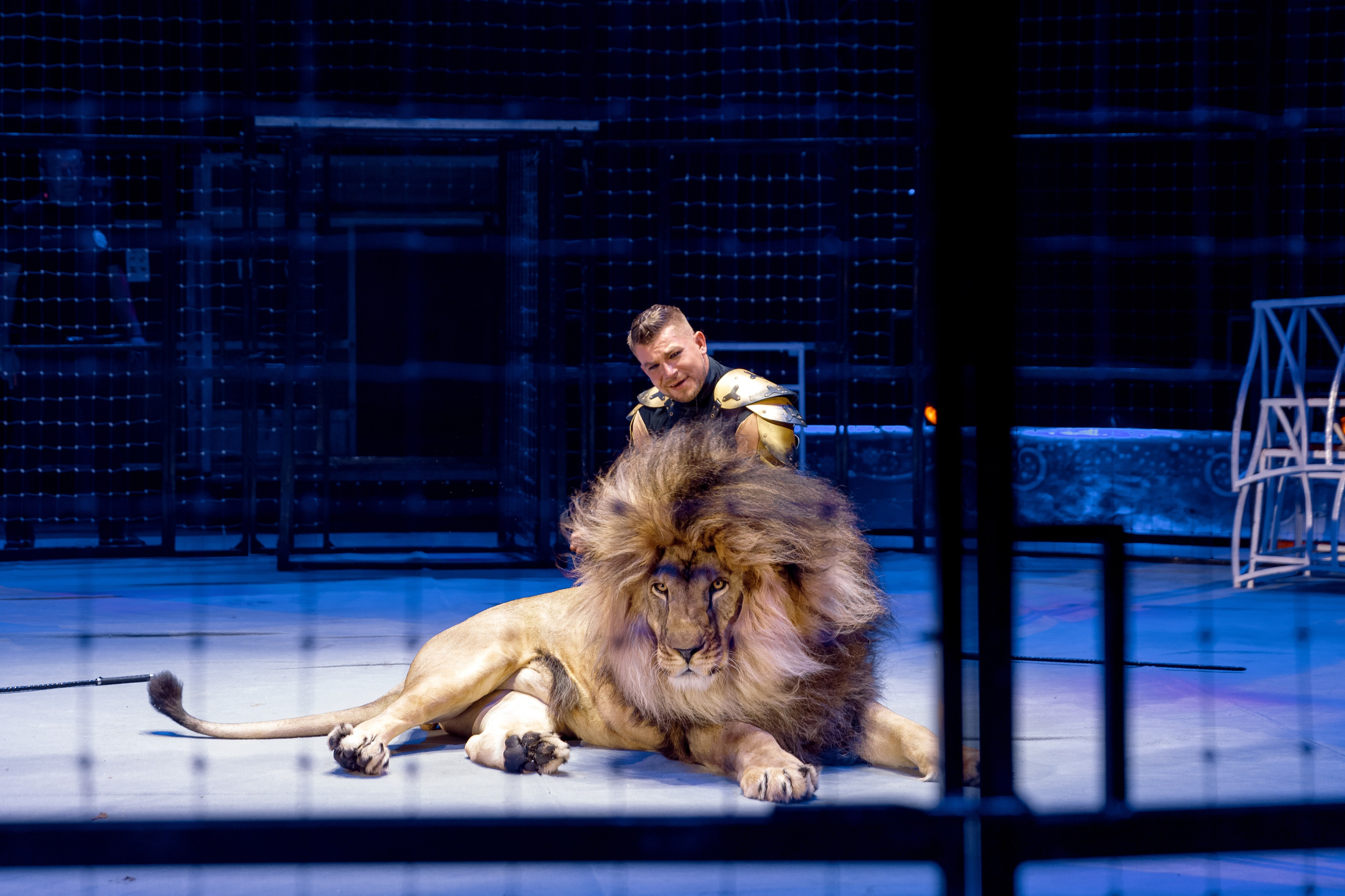 Цирк Moretti в Иркутске. Свадебный фотограф Иркутск, репортажный фотограф Иркутск