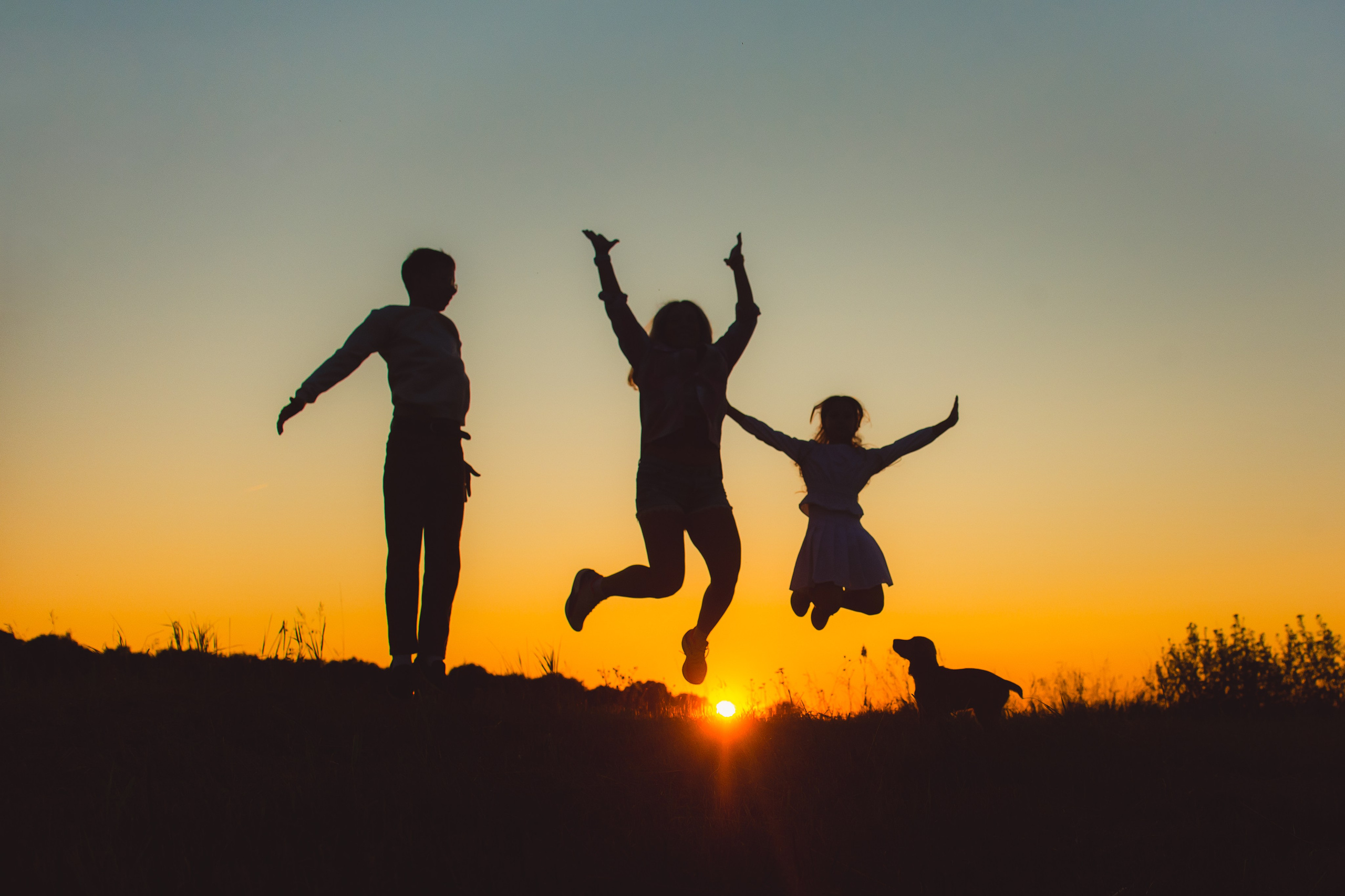 Наташа, Агата, Назар и Август — 17.07.2025. Фотограф — Анималист | Анна Абрамова