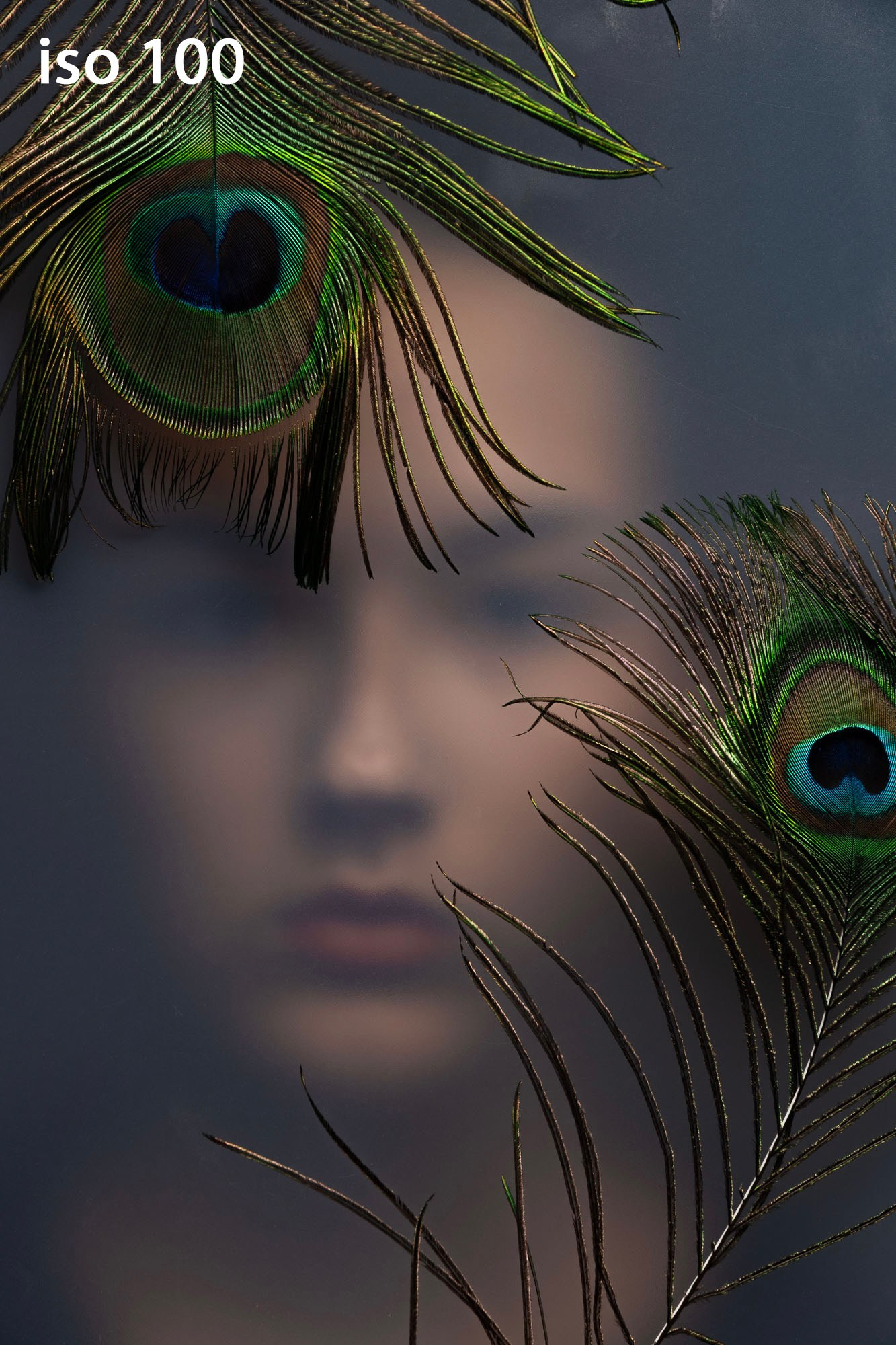 Фотошкола FOTOFQSKOOL: очное и онлайн обучение для всех уровней. FOTOFAQ SKOOL г. Санкт-Петербург: очные, дистанционные и онлайн курсы фотографии