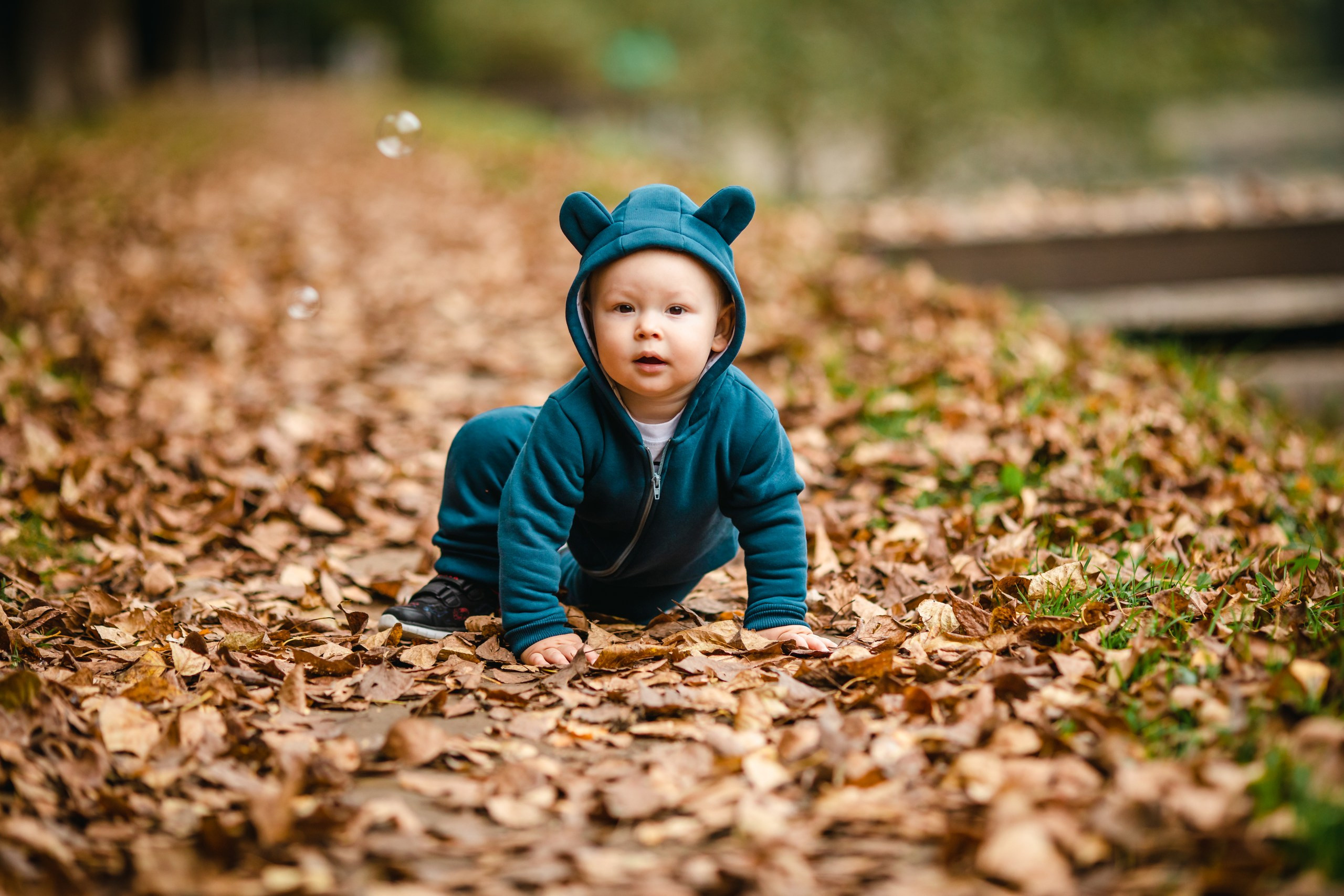 Осенняя история. Olga.filippova.photo