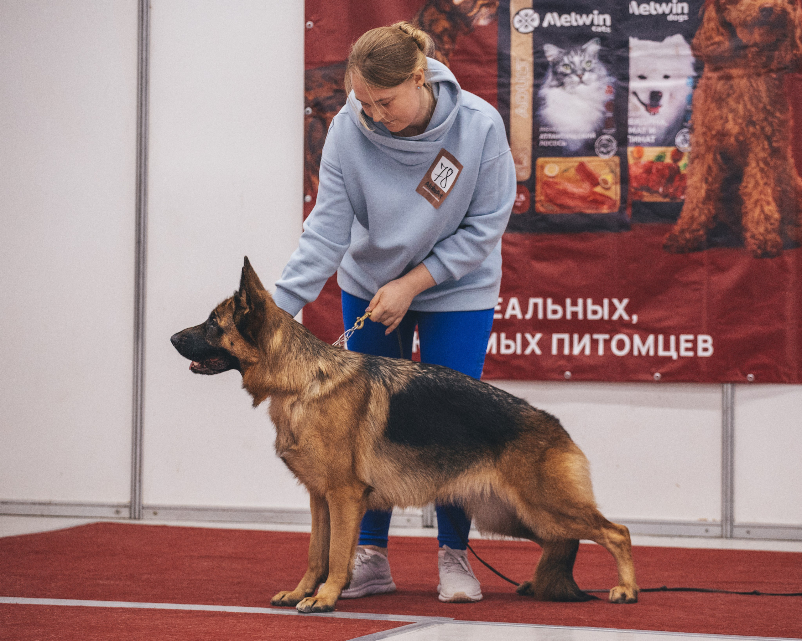 20.01. 2024 Тюмень. YULA KOLESOVA | Фотограф — Анималист | Художник | Тюмень
