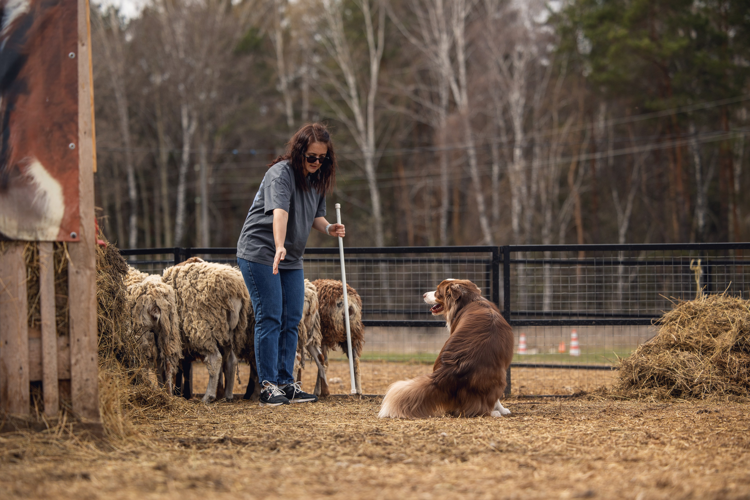 Анна и Вуди. YULA KOLESOVA | Фотограф — Анималист | Художник | Тюмень