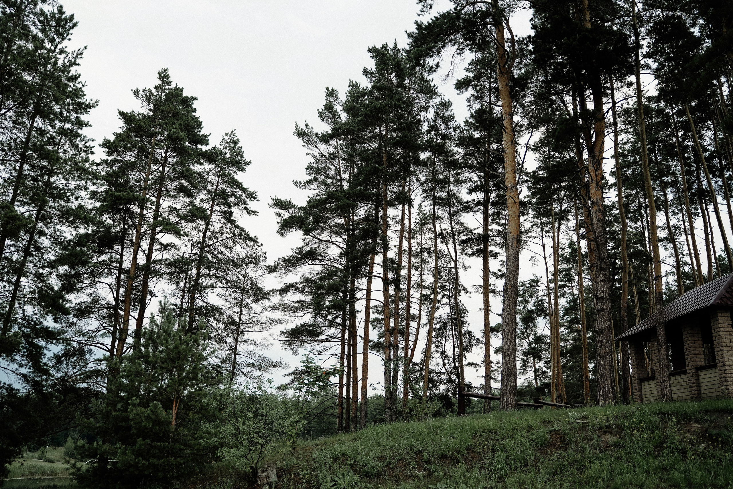 Анна & Артем 2025. Фотосъемка и видеосъемка свадеб Липецк