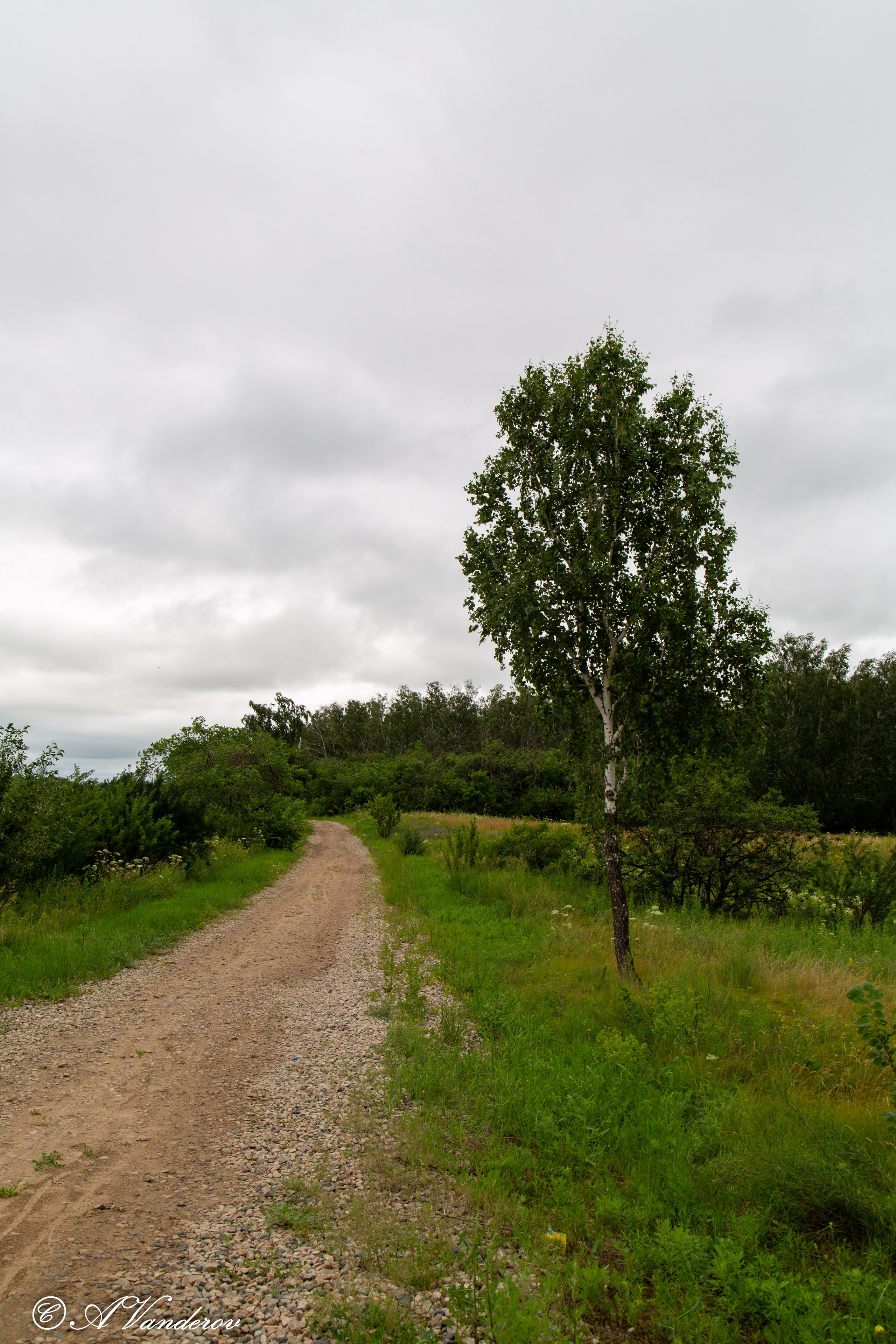Калачинск 07.07.2024. Фотограф Омск | Александр Вандеров
