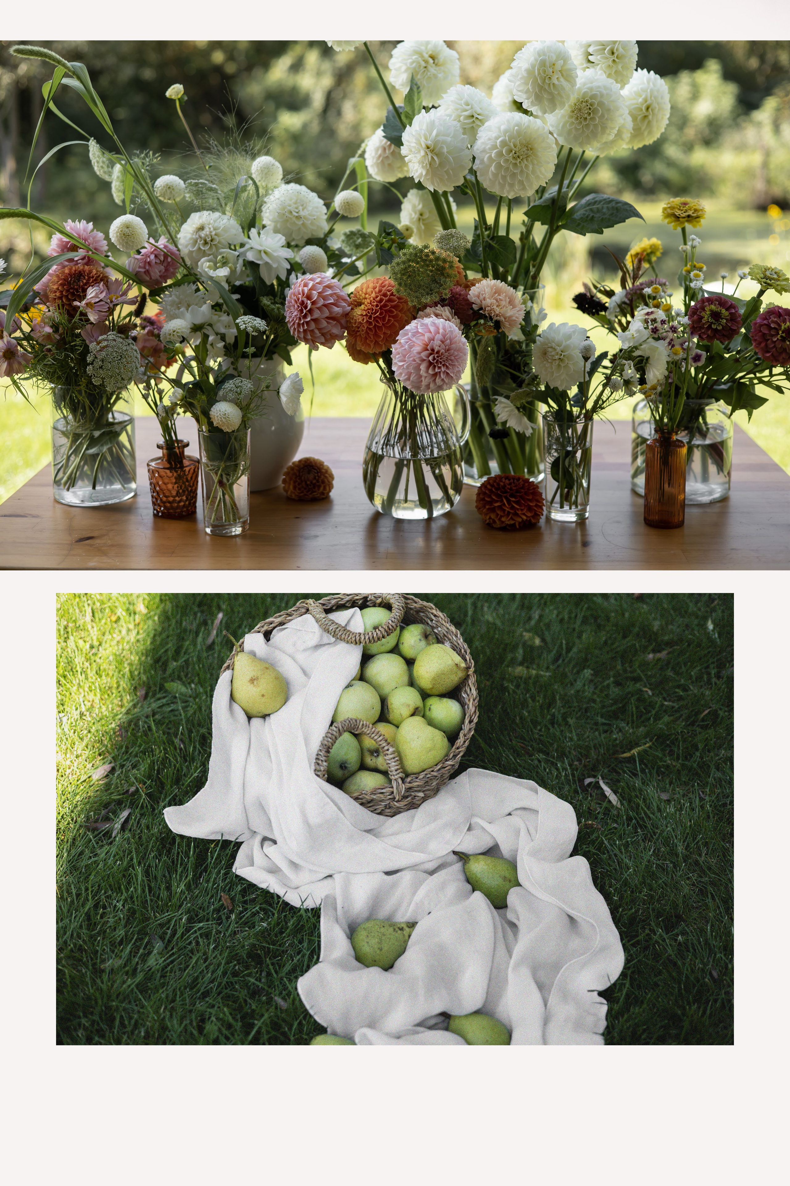 ДИНИЯ. Фотограф Элла Ефимова