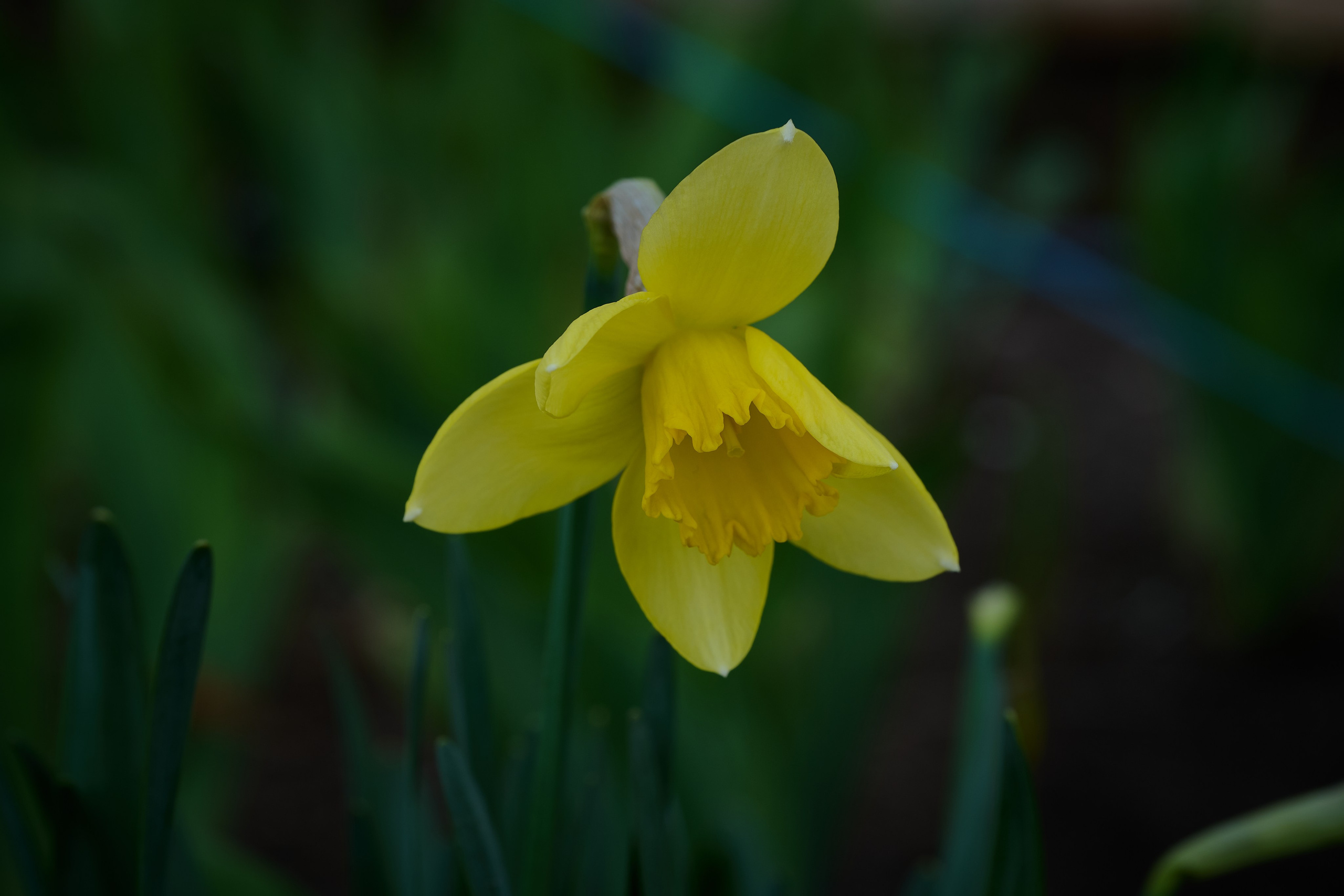 Мелитополь. Фотопроект «Территории»