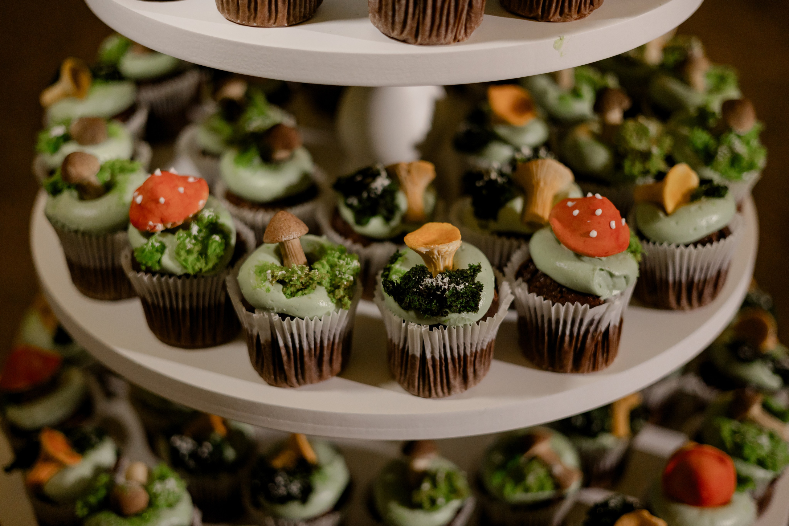 Виноградники. Dima Lemeshevsky