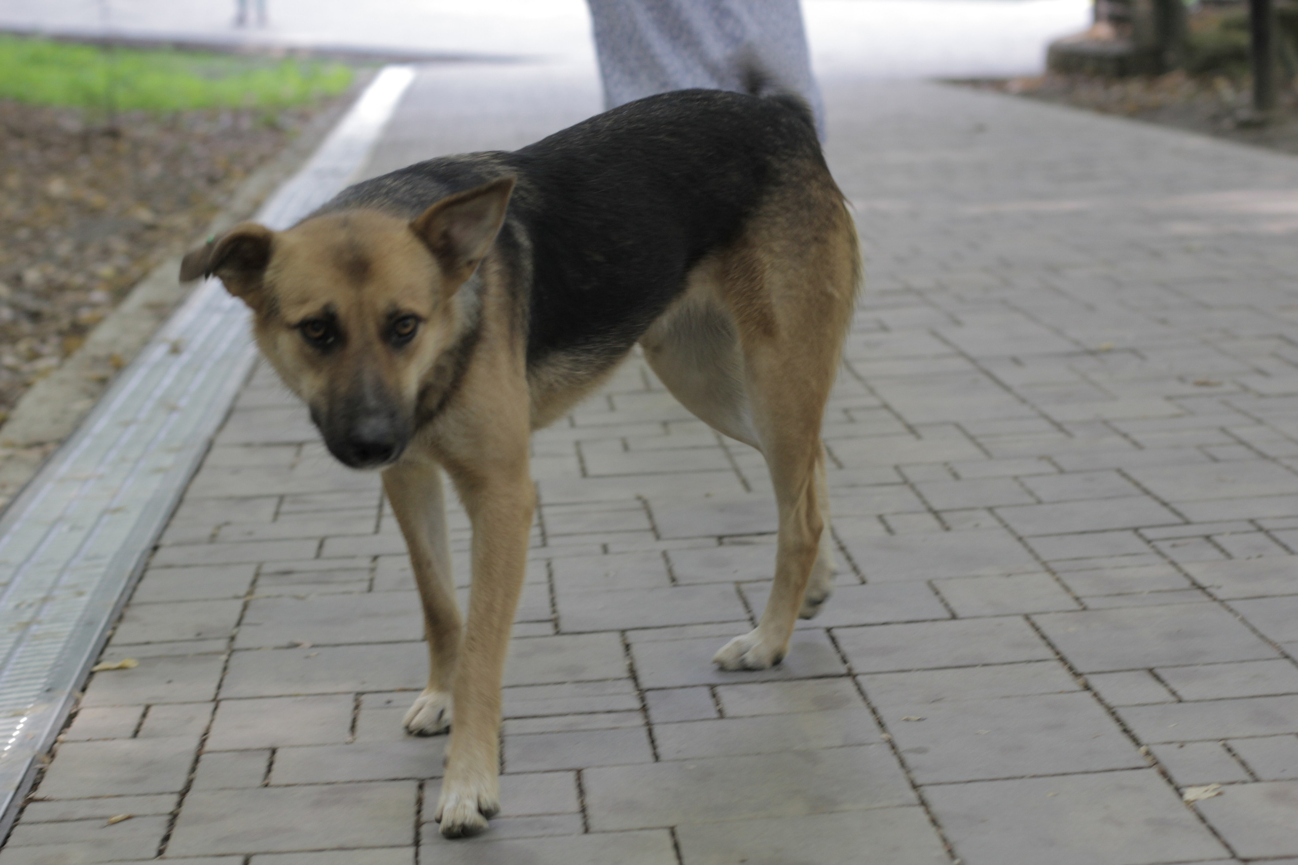 Горячий Ключ (2024-09-22). Собор Отрасли