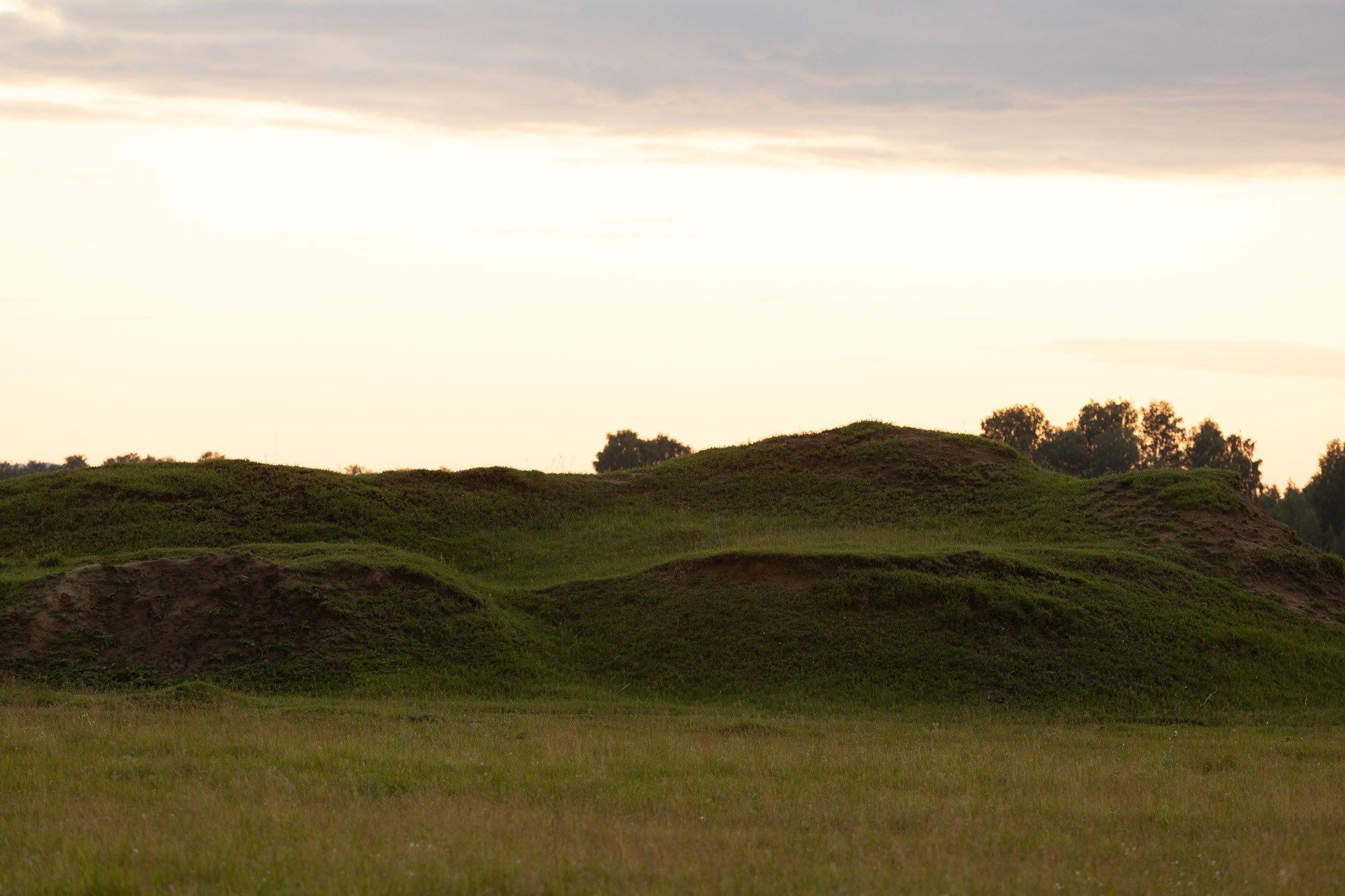 Светлана и Алексей. Свадебный и семейный фотограф в Челябинске