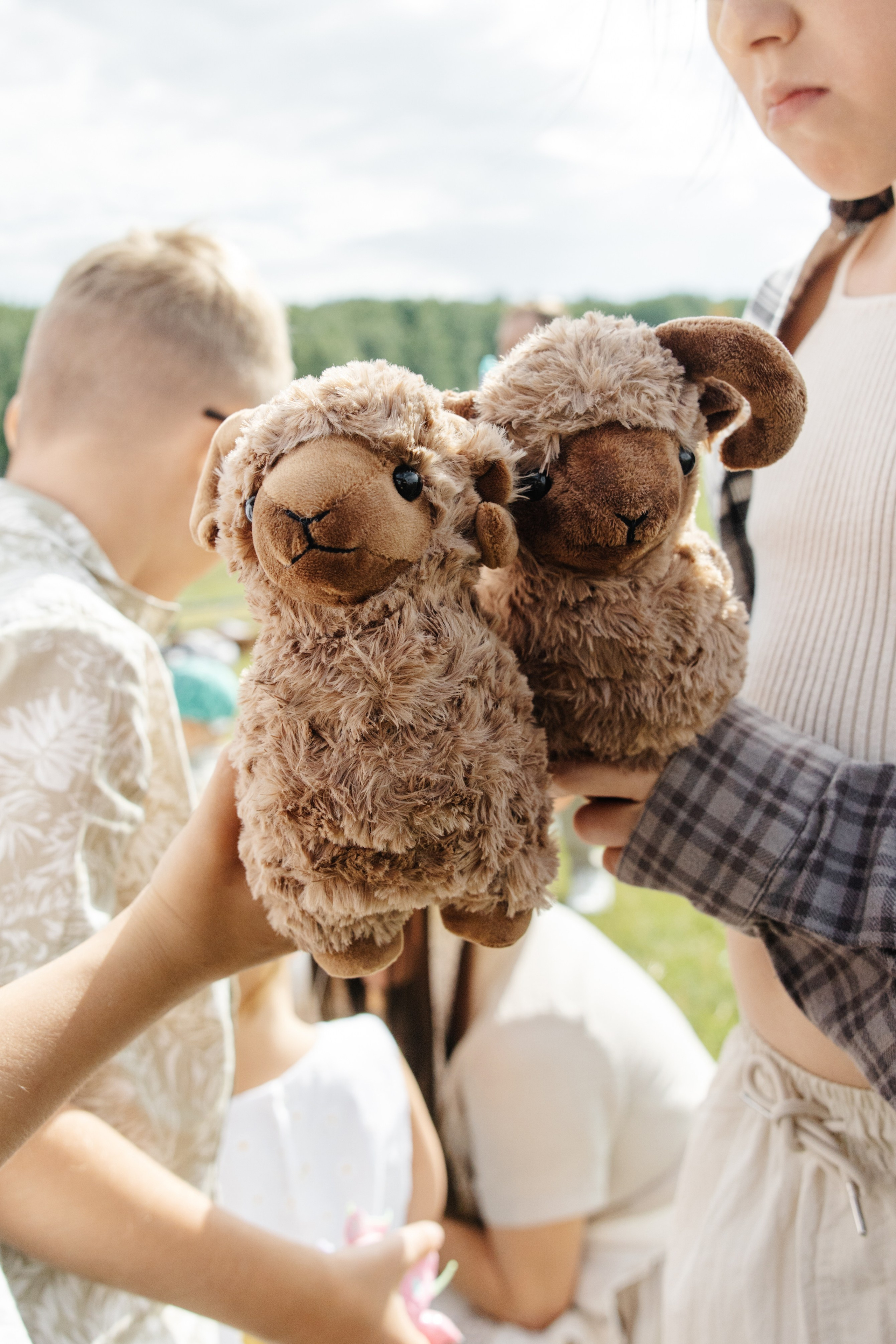 ГЕНДЕР ПАТИ. Фотограф в Красноярске