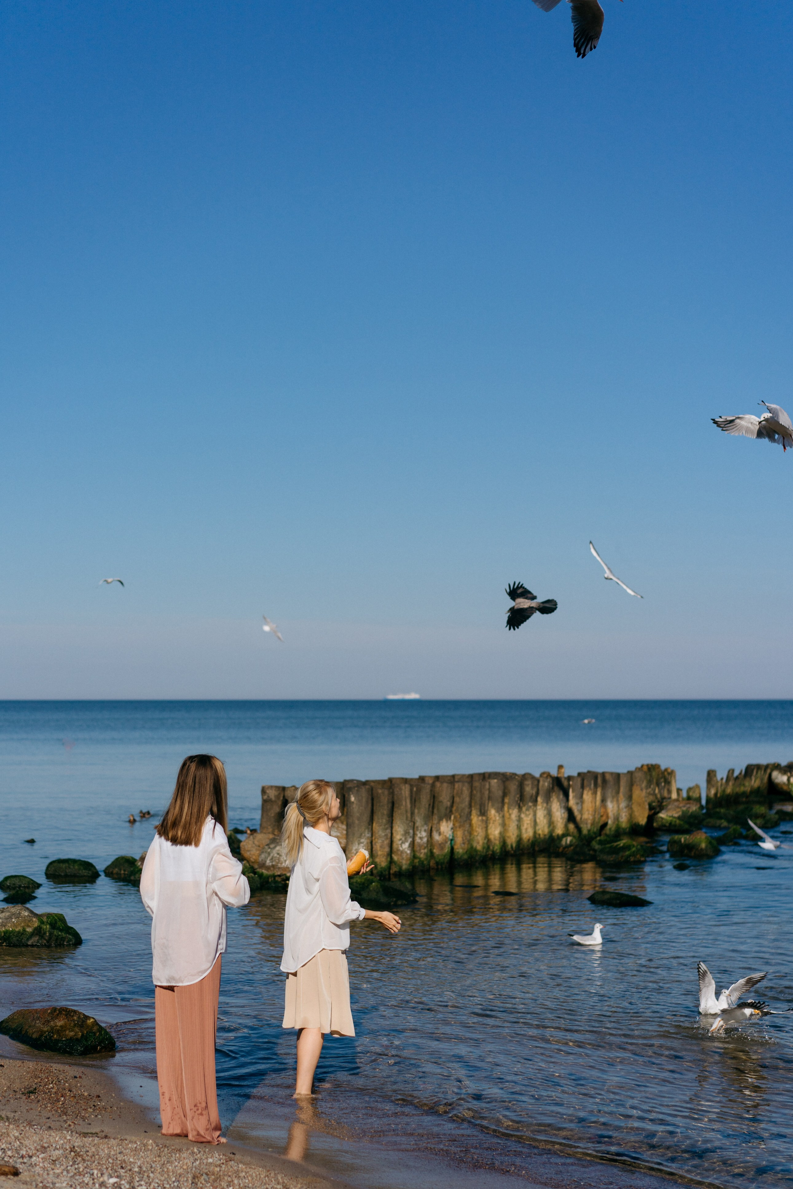 Зеленоградск. Свадебный и семейный фотограф в Калининграде Анастасия Гриценко