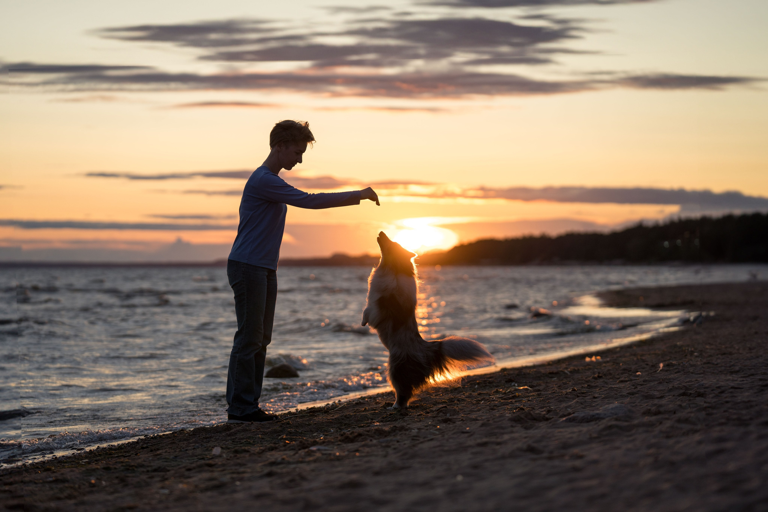 Лесная Элис. Фотограф анималист