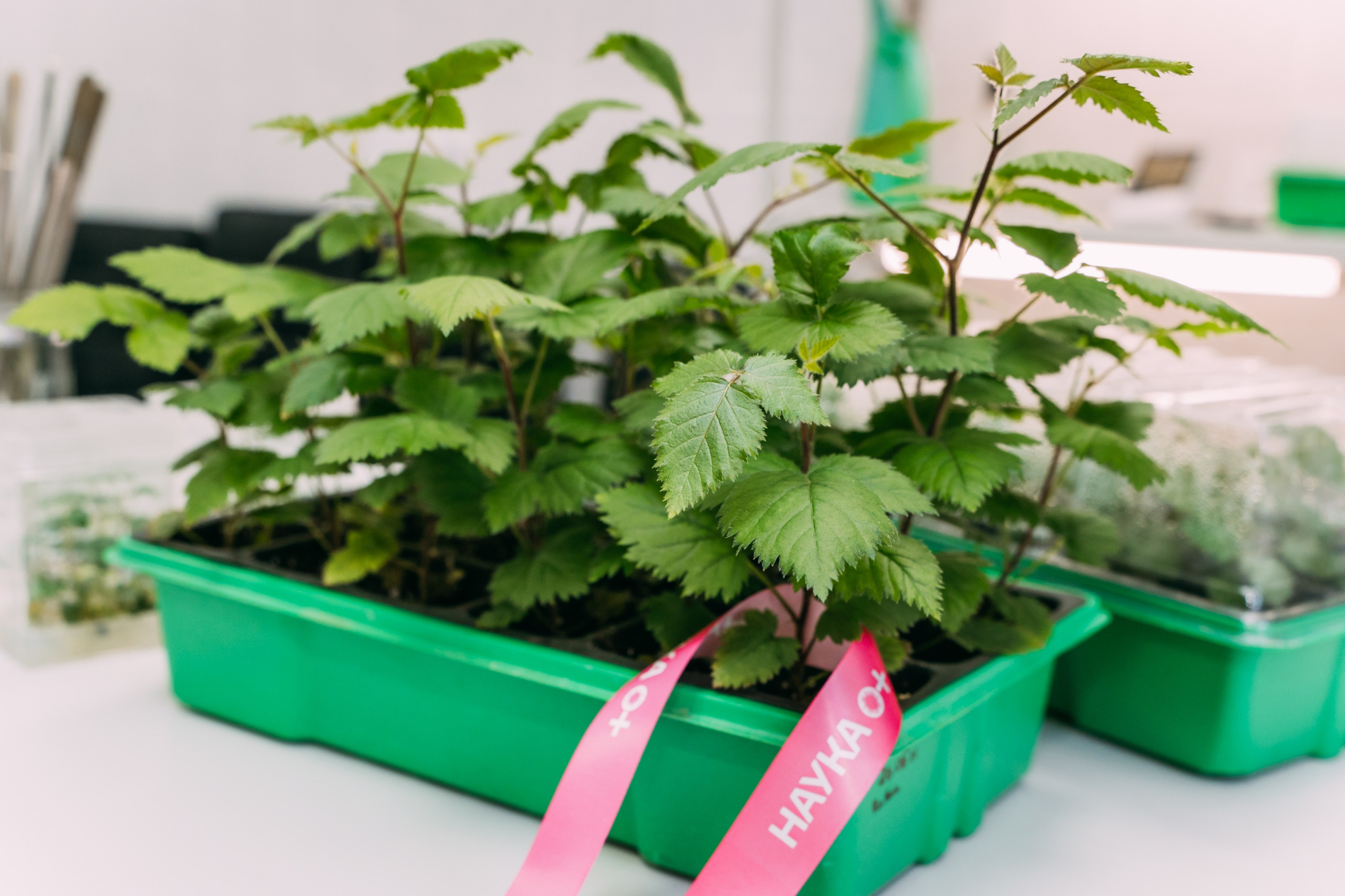 Международная конференция РАН