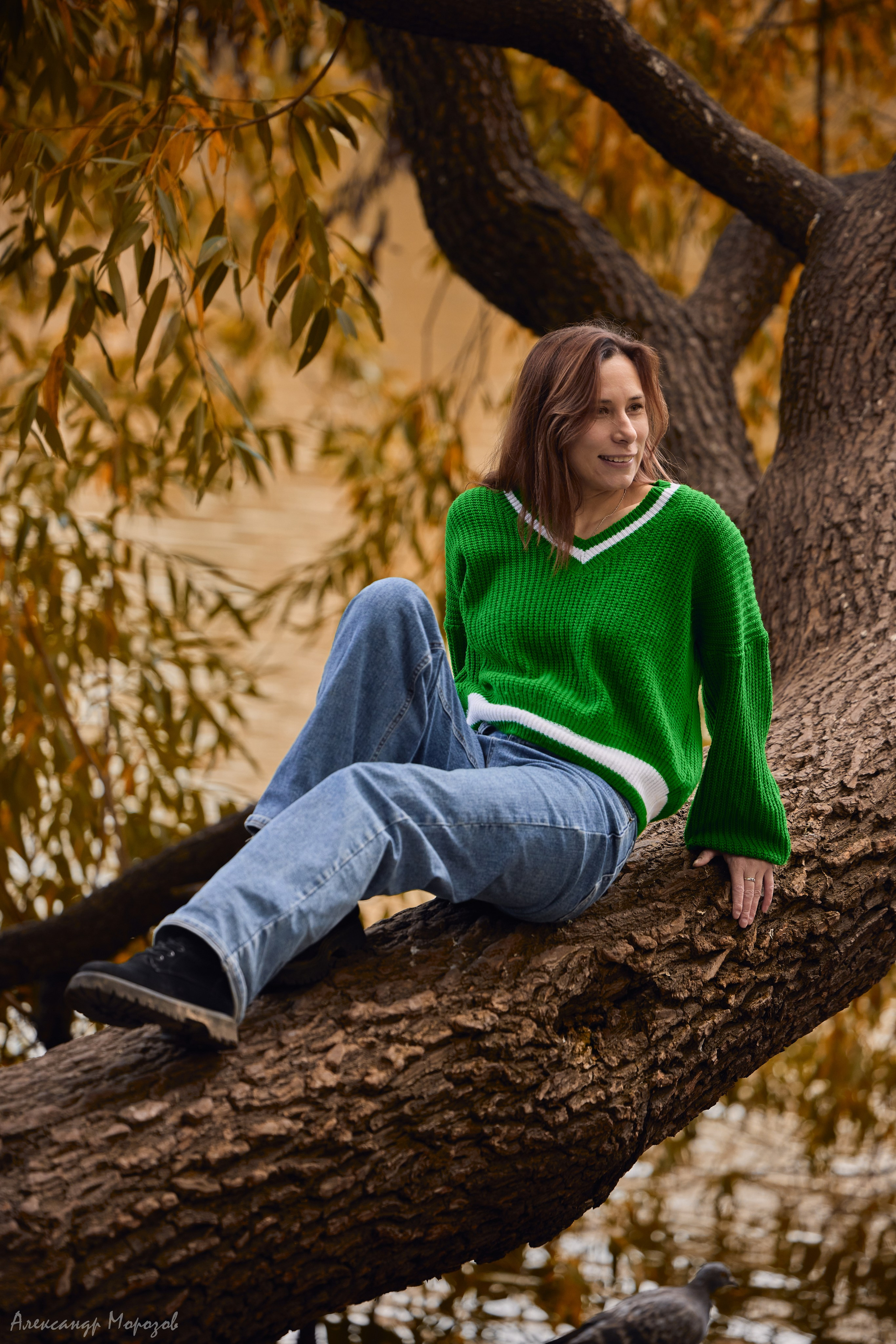 Фотопленэр «Золотая осень». Фотограф в Екатеринбурге Александр Морозов