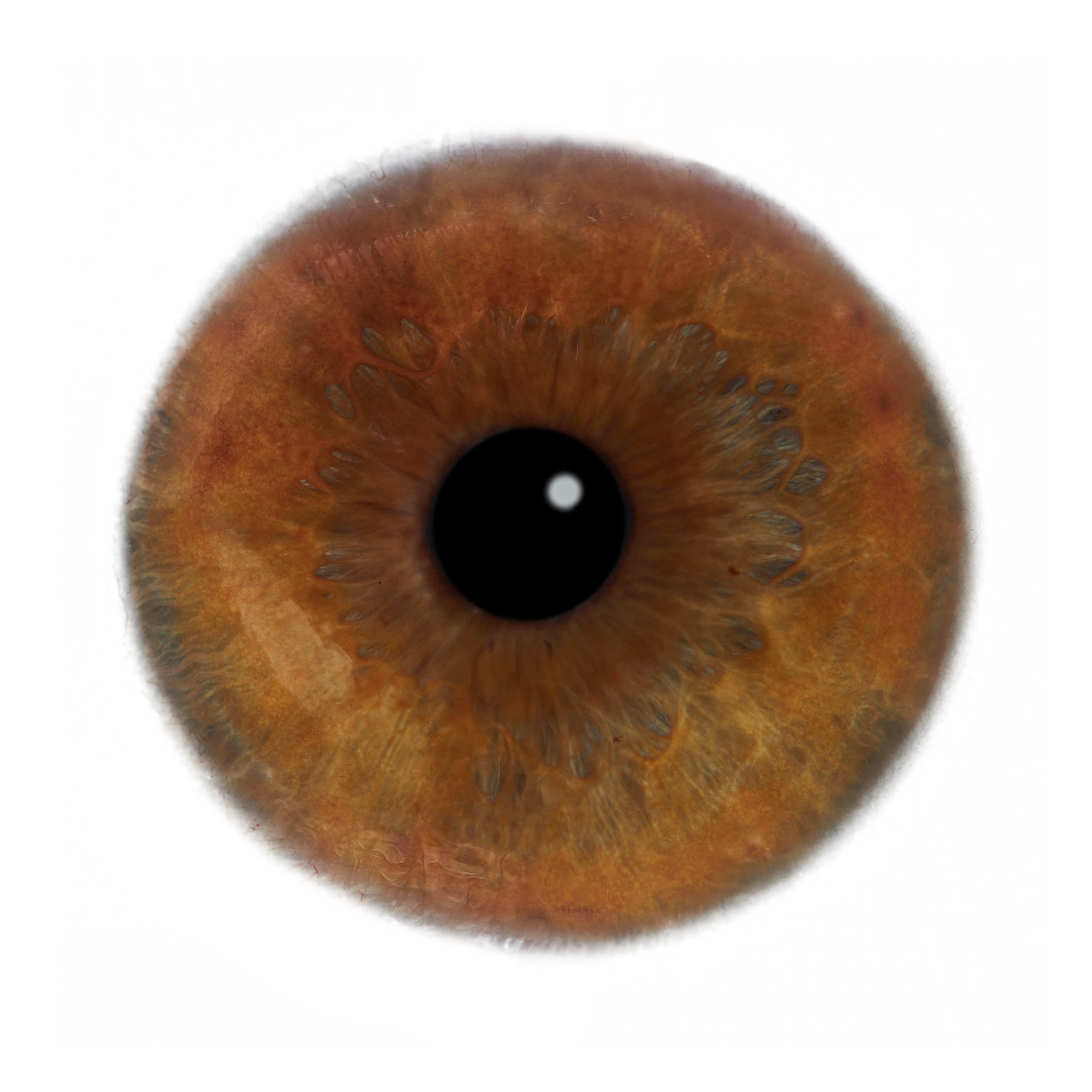 Глаза — зеркало души. Флористическая, интерьерная и портретная съемка в Москве и Европе