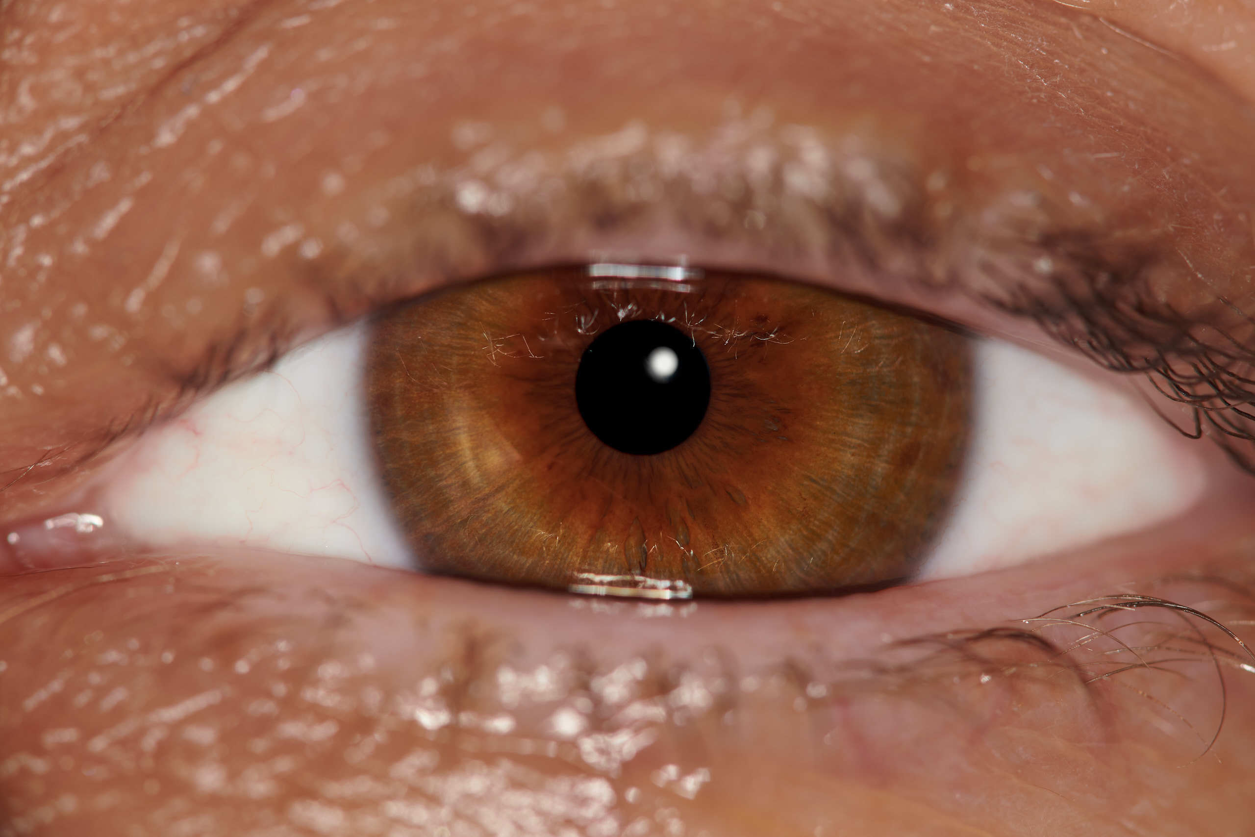 Флористическая, интерьерная и портретная съемка в Москве и Европе