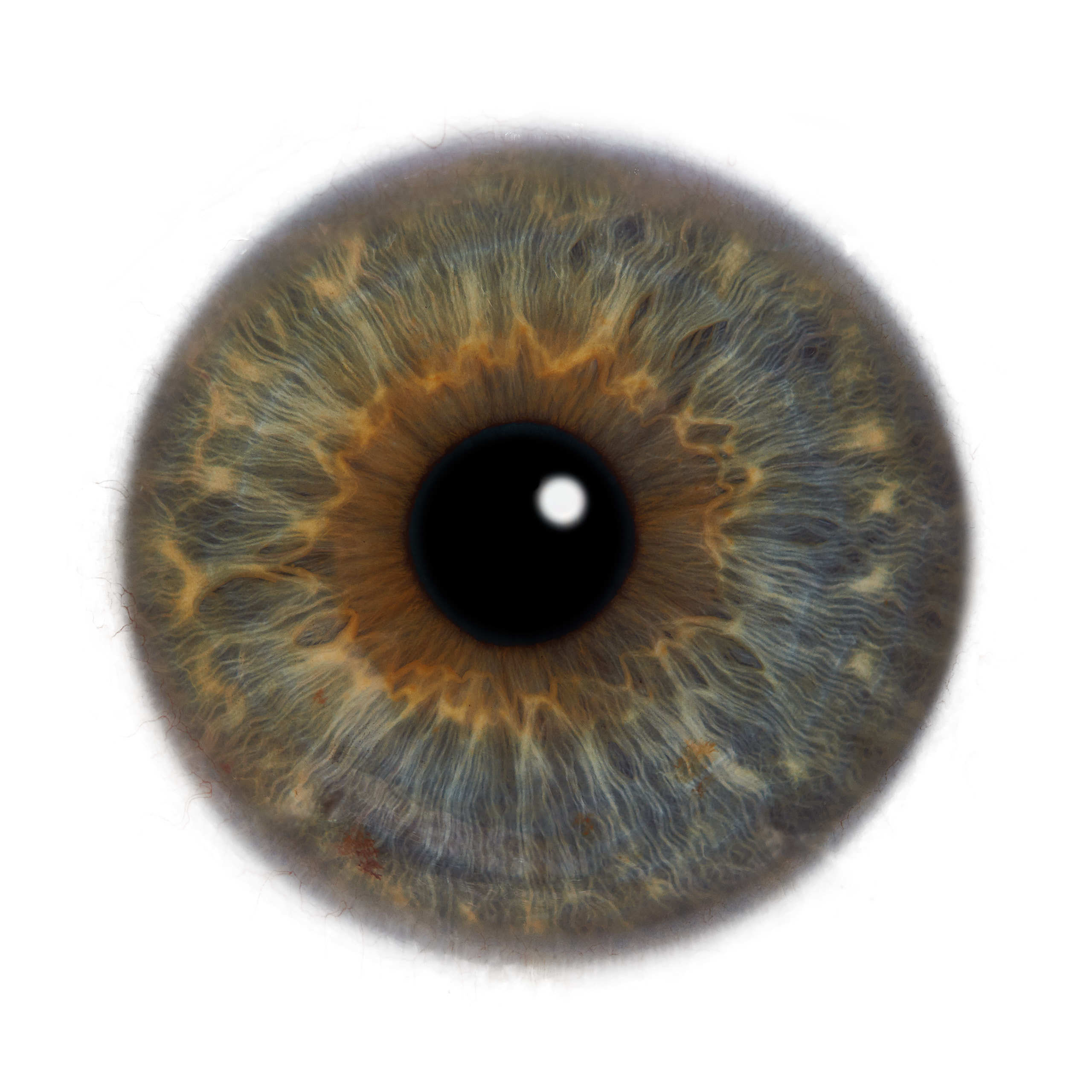 Глаза — зеркало души. Флористическая, интерьерная и портретная съемка в Москве и Европе