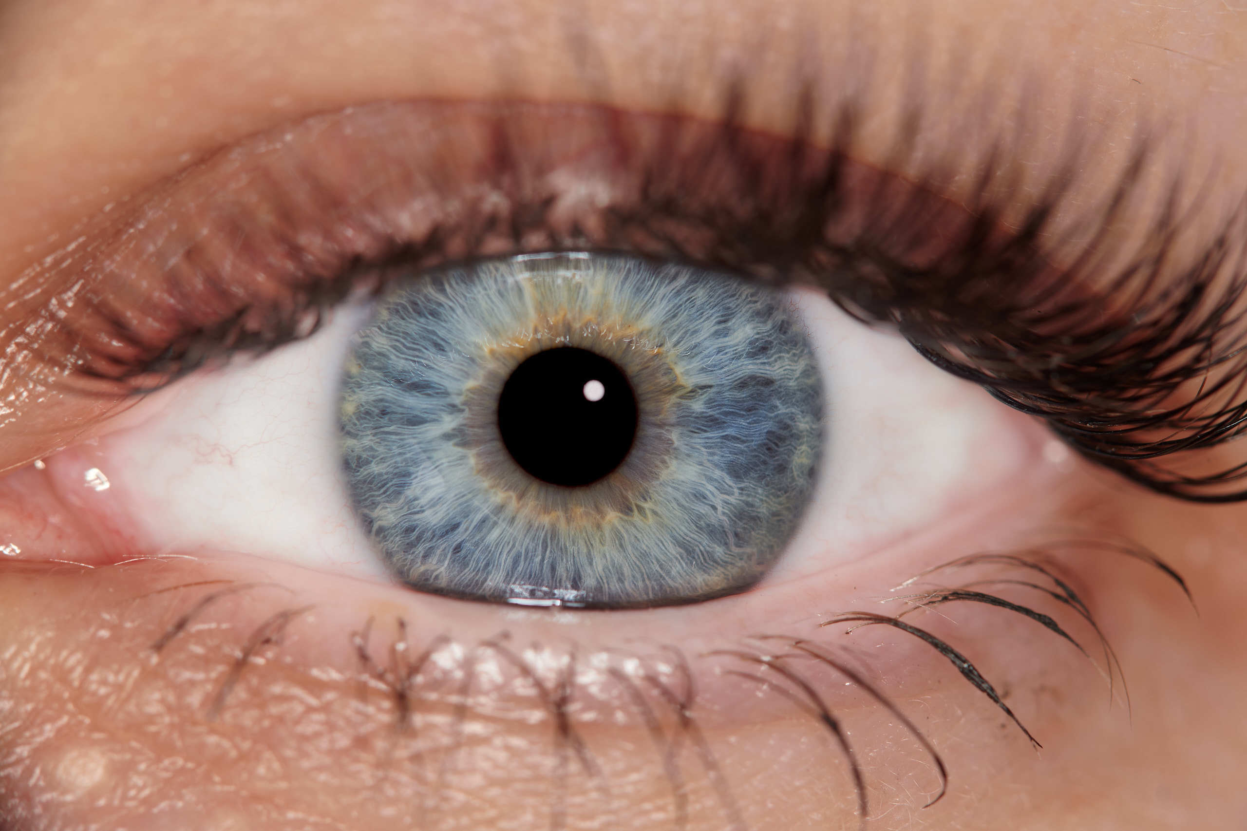 Флористическая, интерьерная и портретная съемка в Москве и Европе