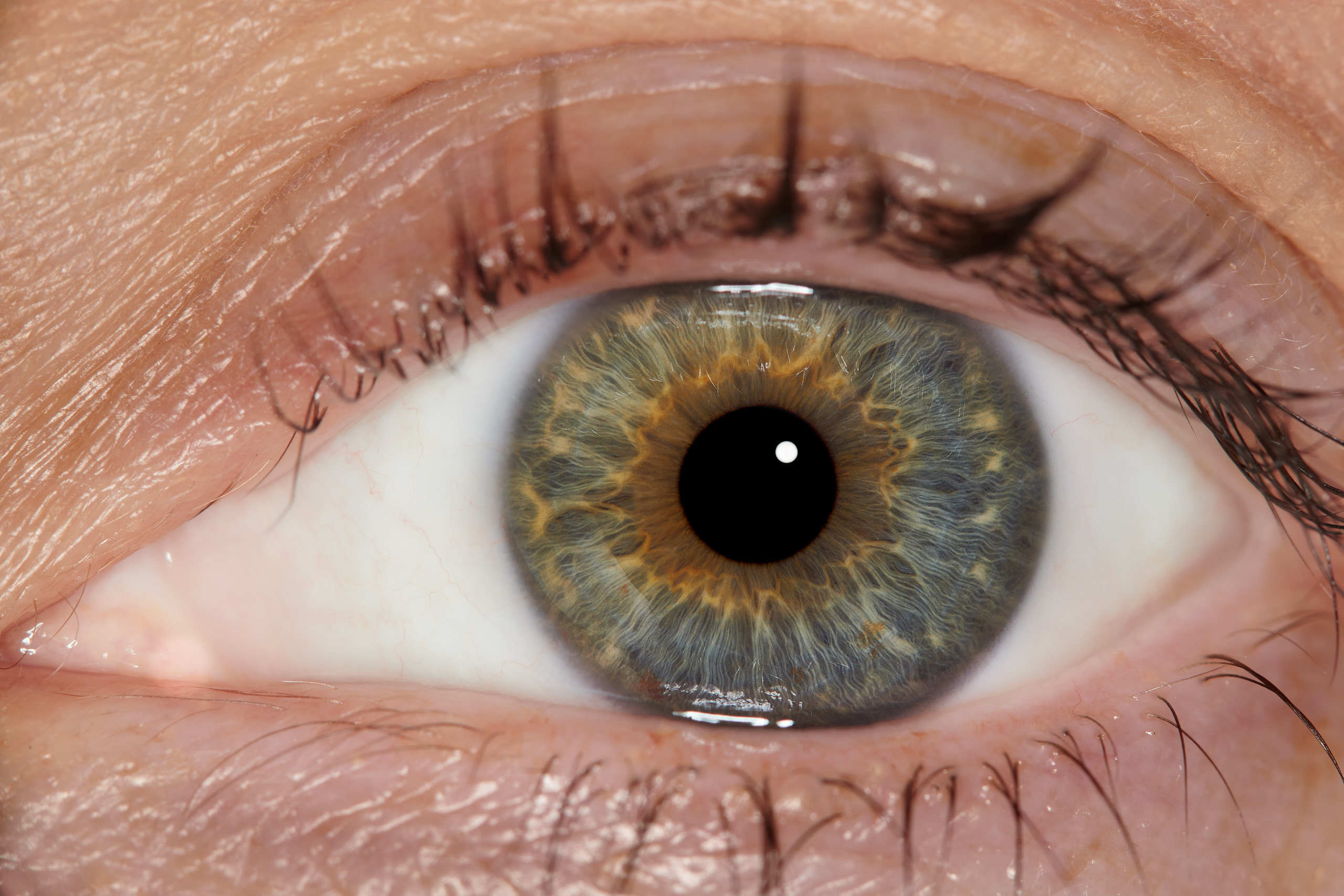 Флористическая, интерьерная и портретная съемка в Москве и Европе