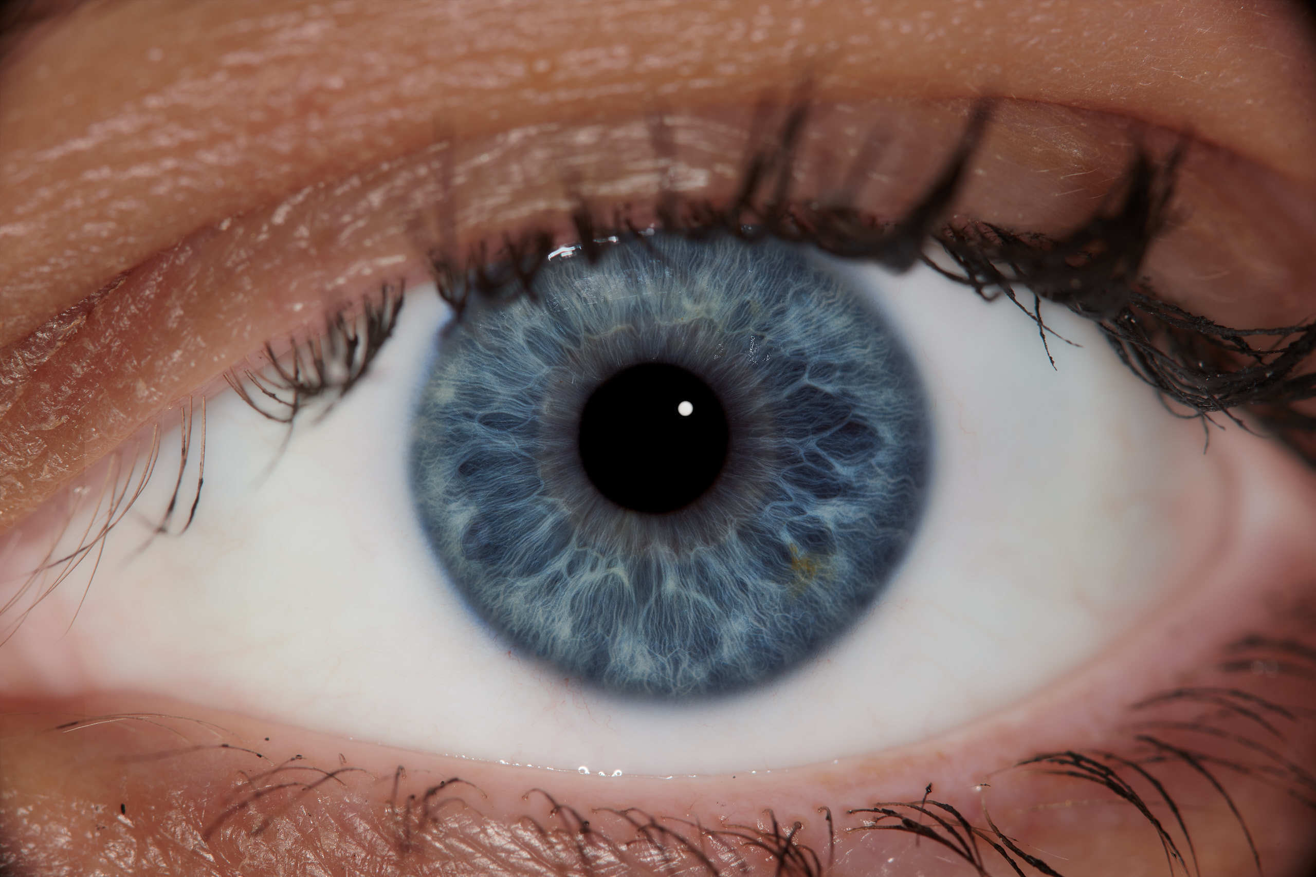 Флористическая, интерьерная и портретная съемка в Москве и Европе