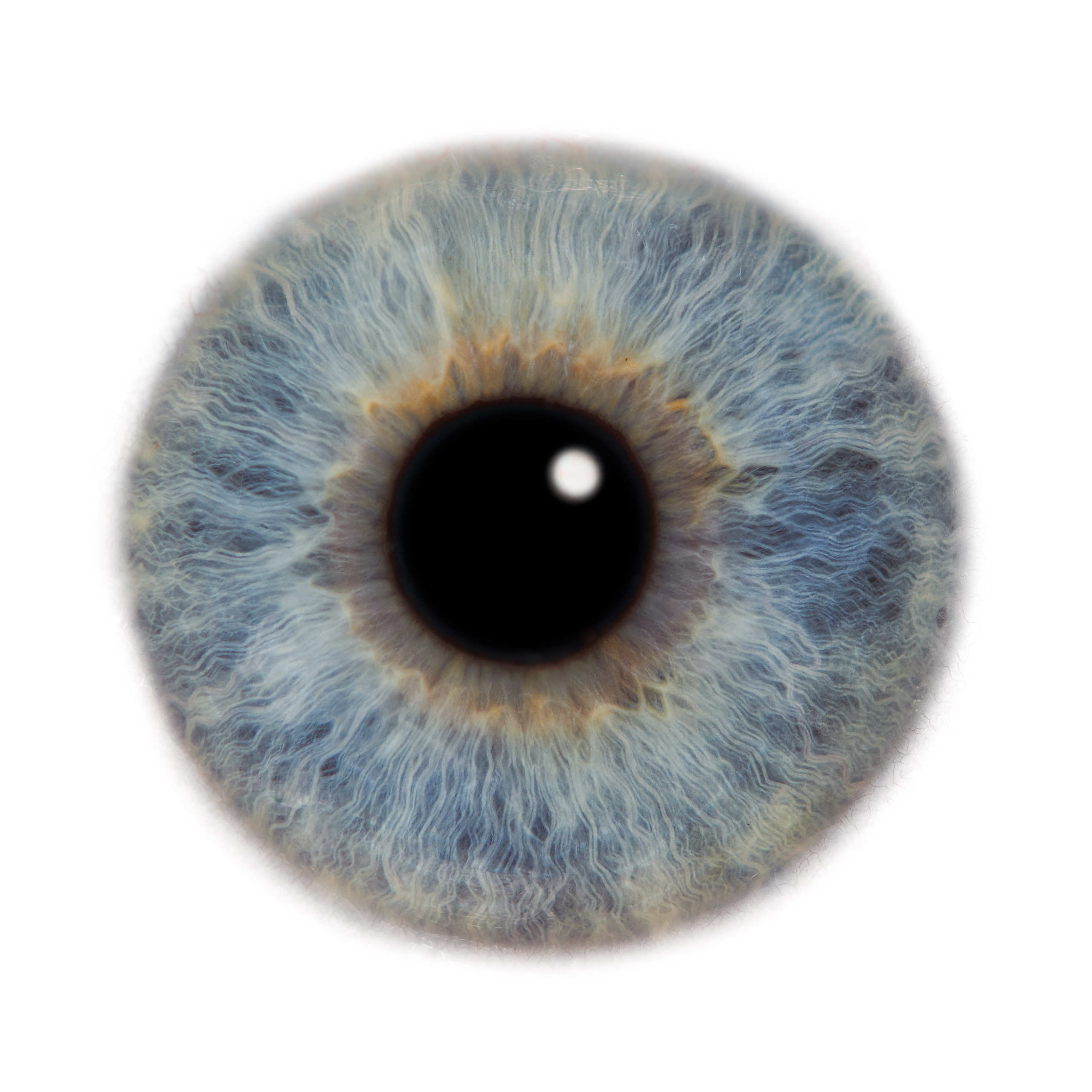 Глаза — зеркало души. Флористическая, интерьерная и портретная съемка в Москве и Европе