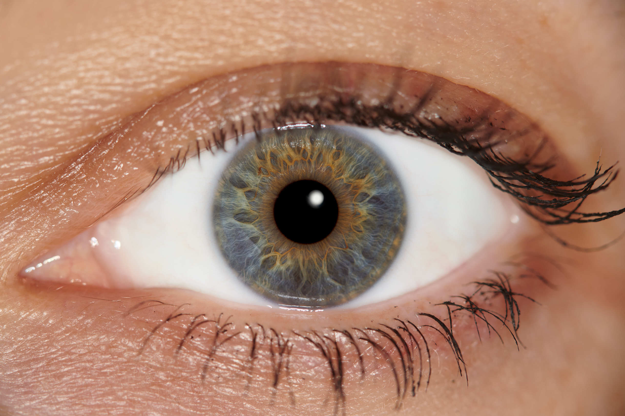 Флористическая, интерьерная и портретная съемка в Москве и Европе