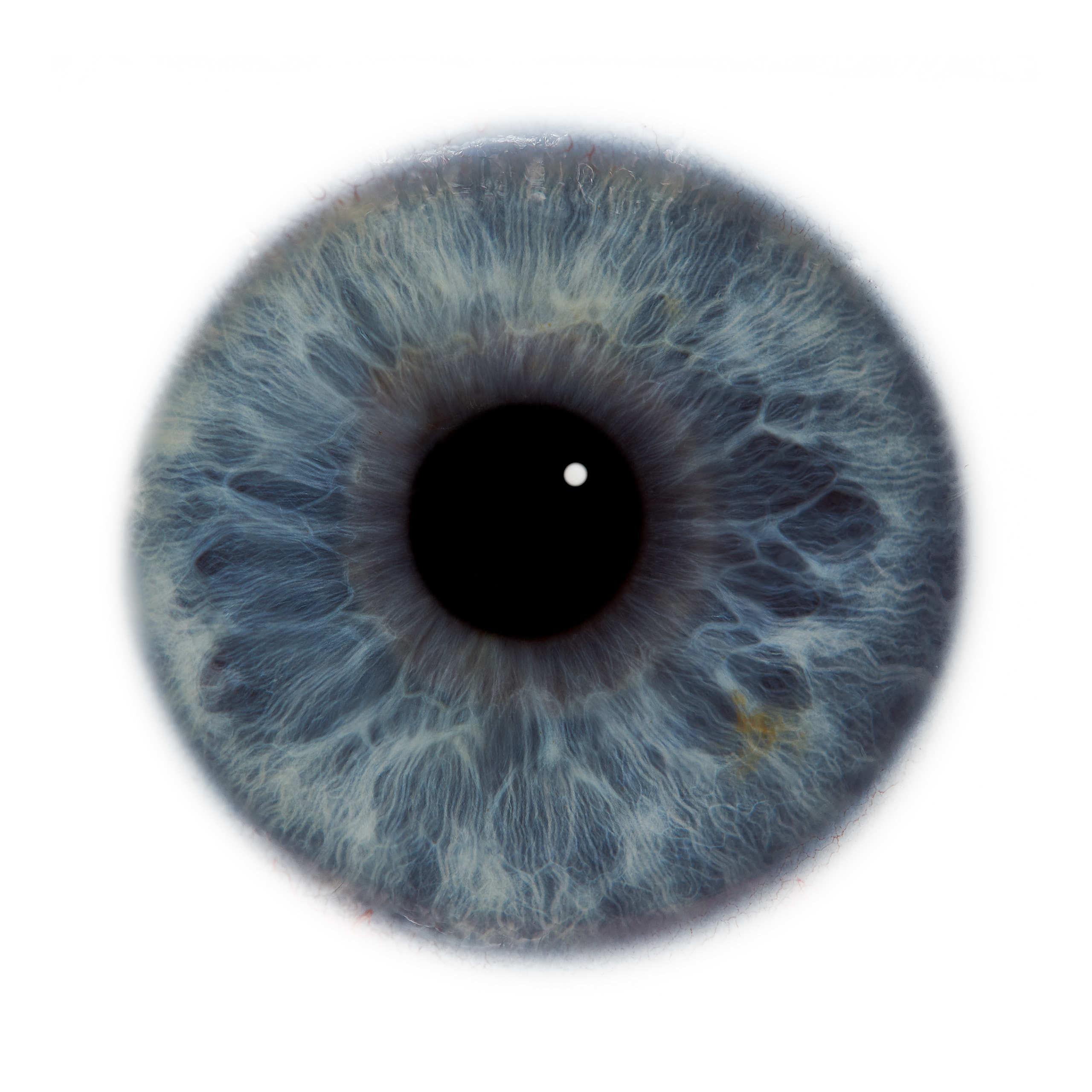 Глаза — зеркало души. Флористическая, интерьерная и портретная съемка в Москве и Европе