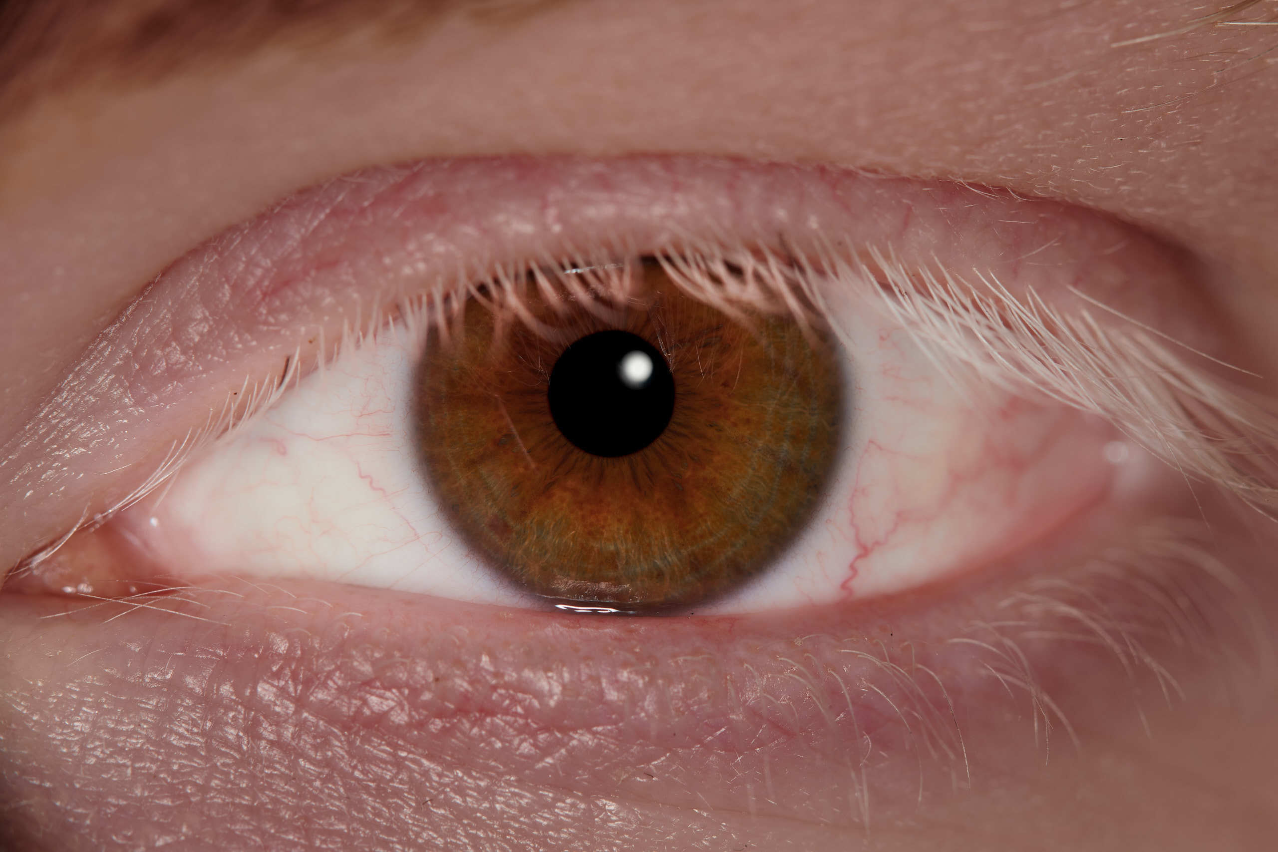 Флористическая, интерьерная и портретная съемка в Москве и Европе