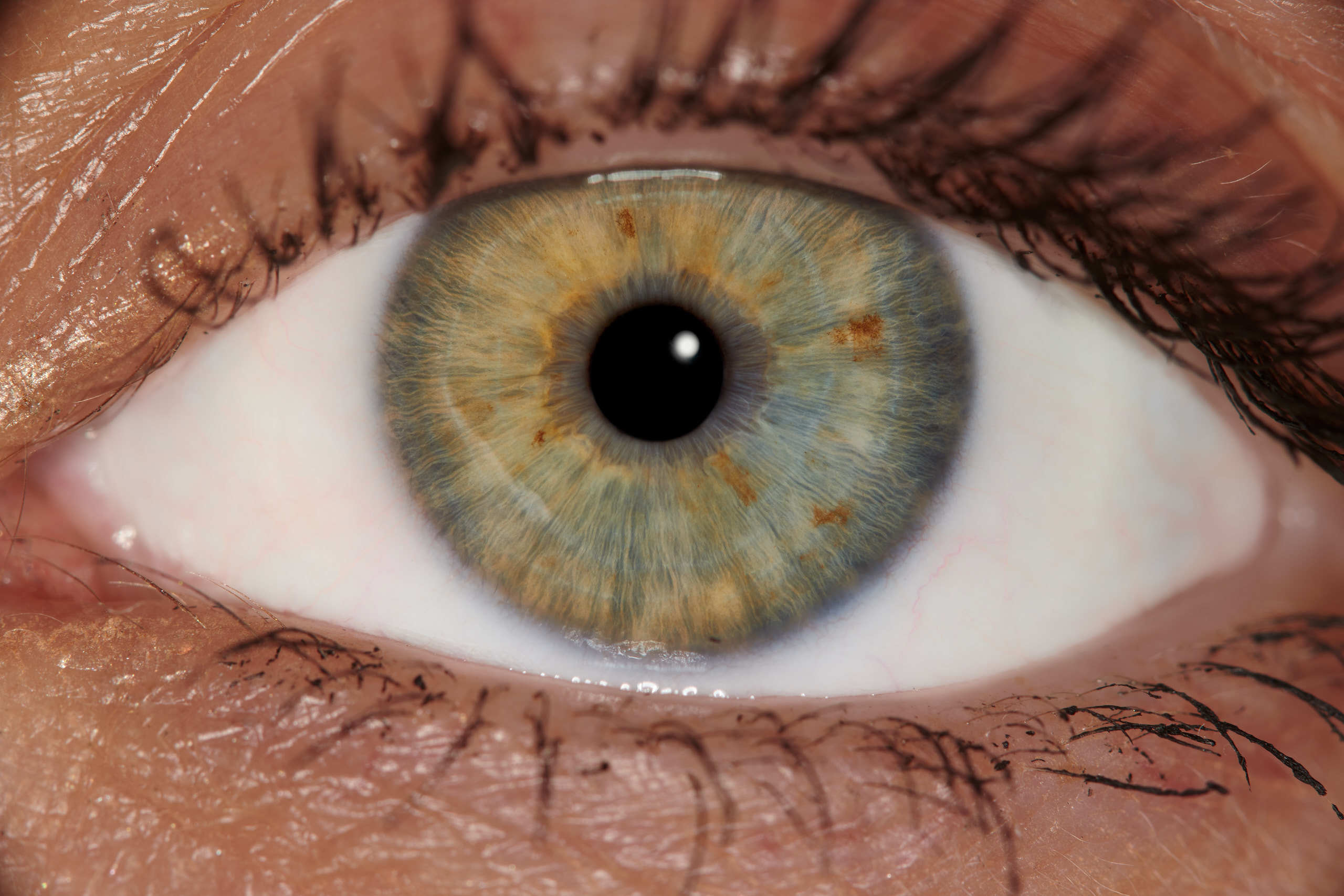 Флористическая, интерьерная и портретная съемка в Москве и Европе