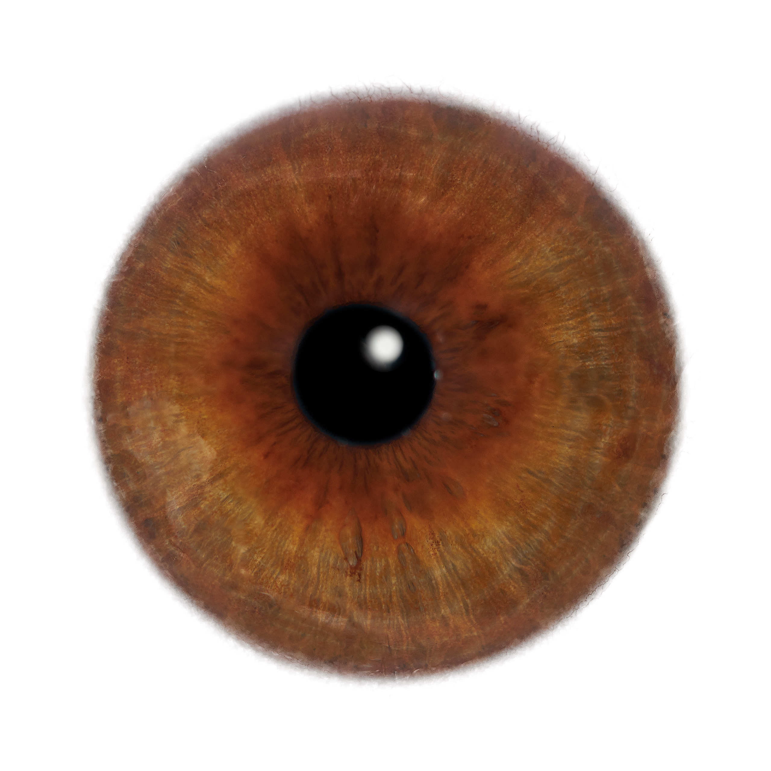 Глаза — зеркало души. Флористическая, интерьерная и портретная съемка в Москве и Европе