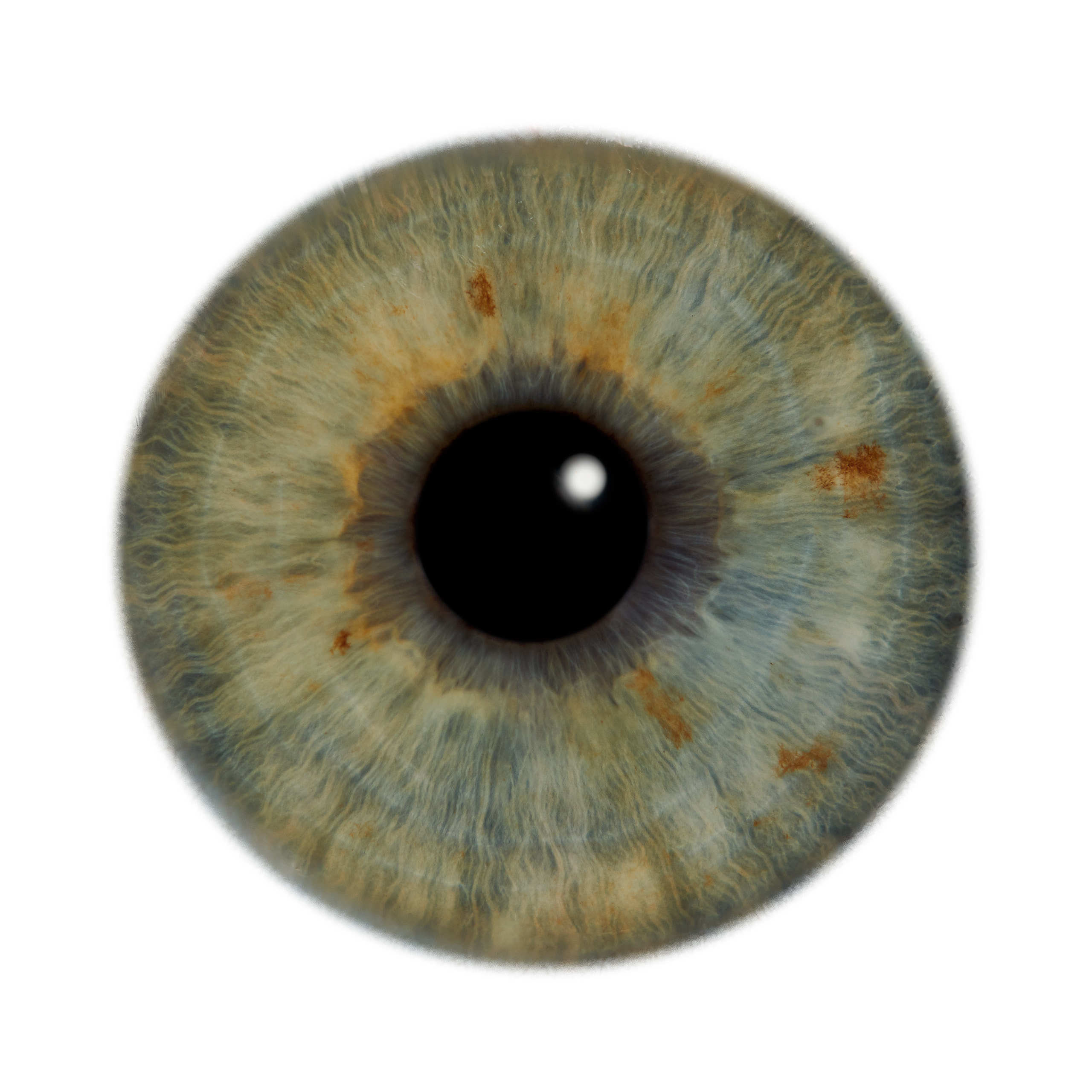 Глаза — зеркало души. Флористическая, интерьерная и портретная съемка в Москве и Европе