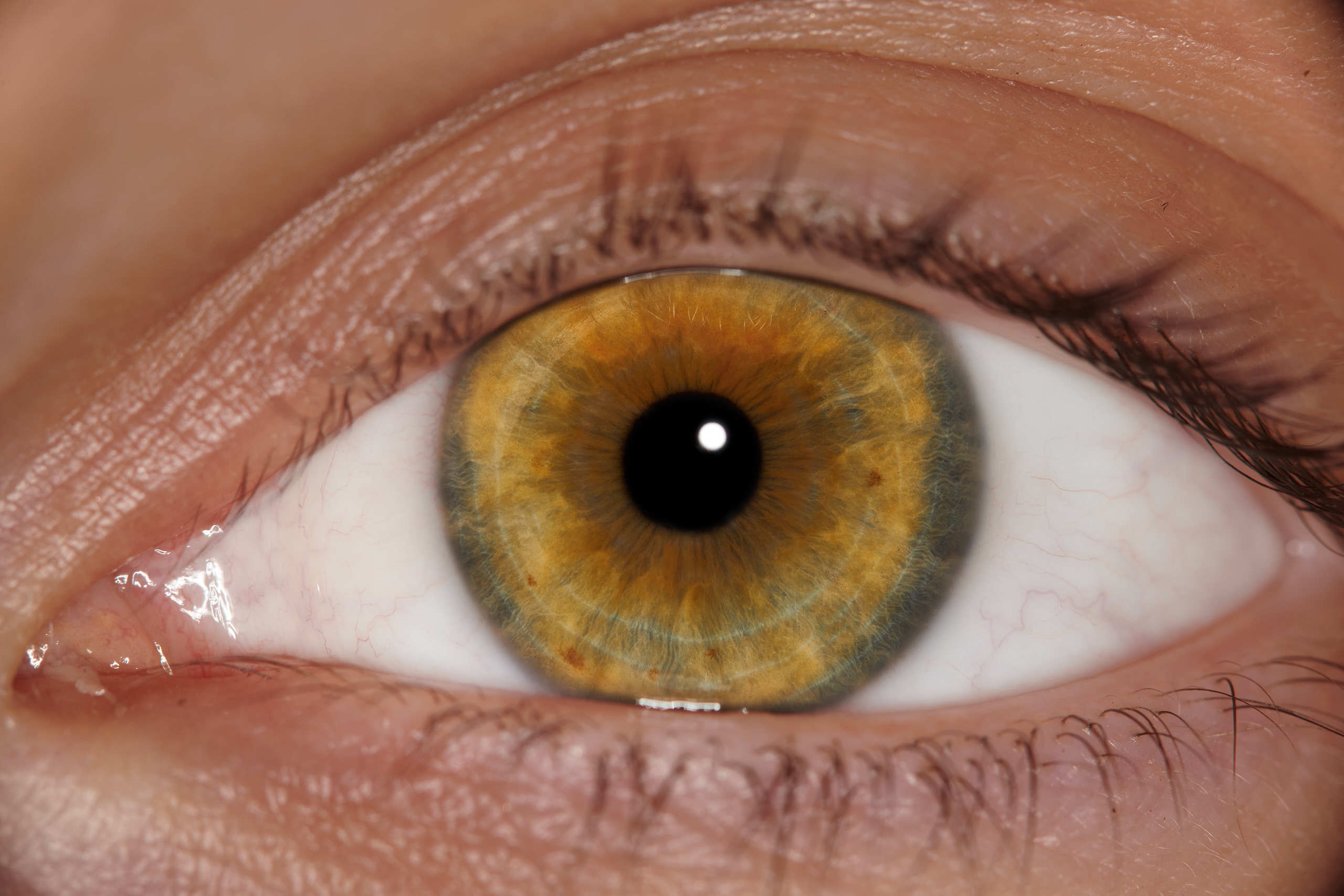 Флористическая, интерьерная и портретная съемка в Москве и Европе