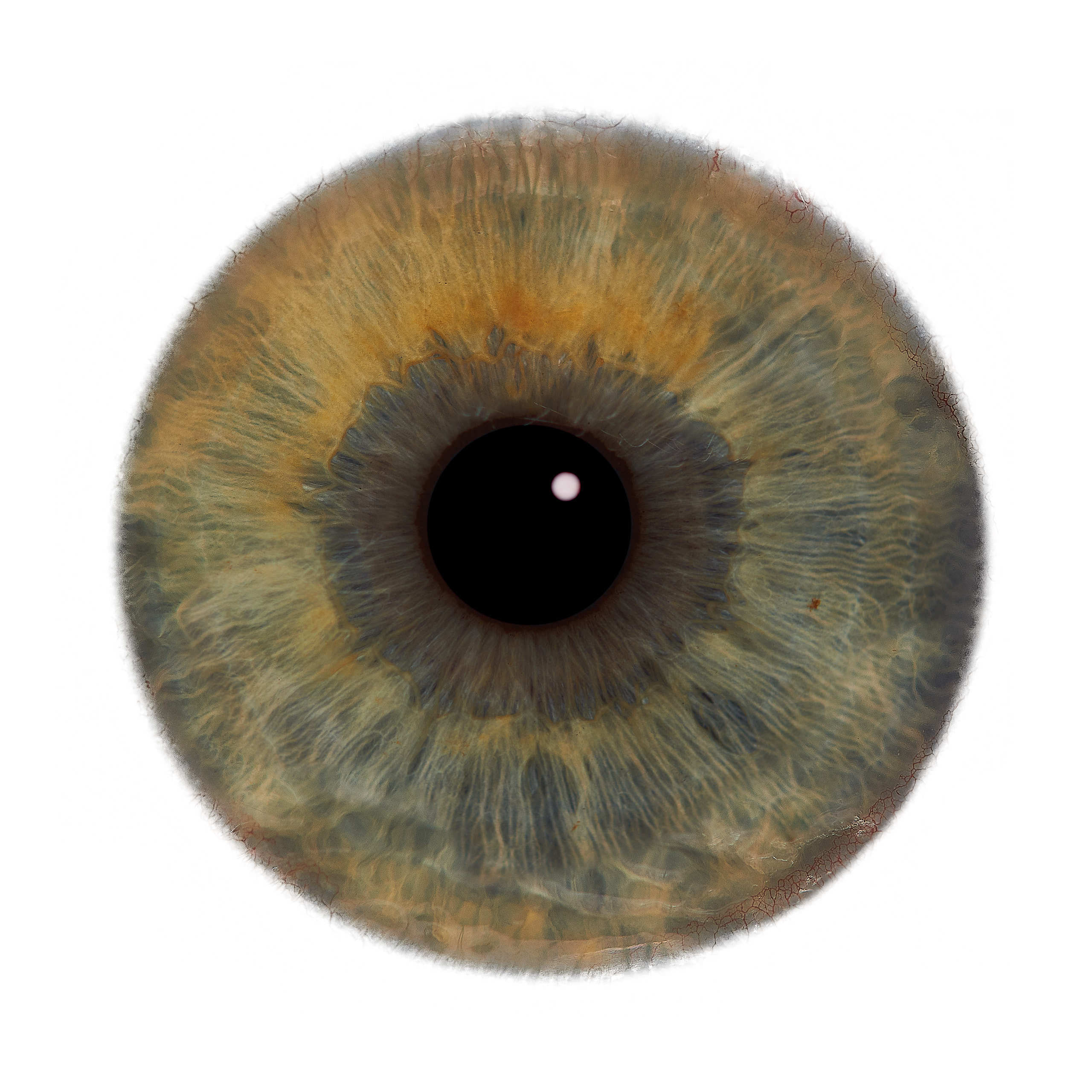 Глаза — зеркало души. Флористическая, интерьерная и портретная съемка в Москве и Европе