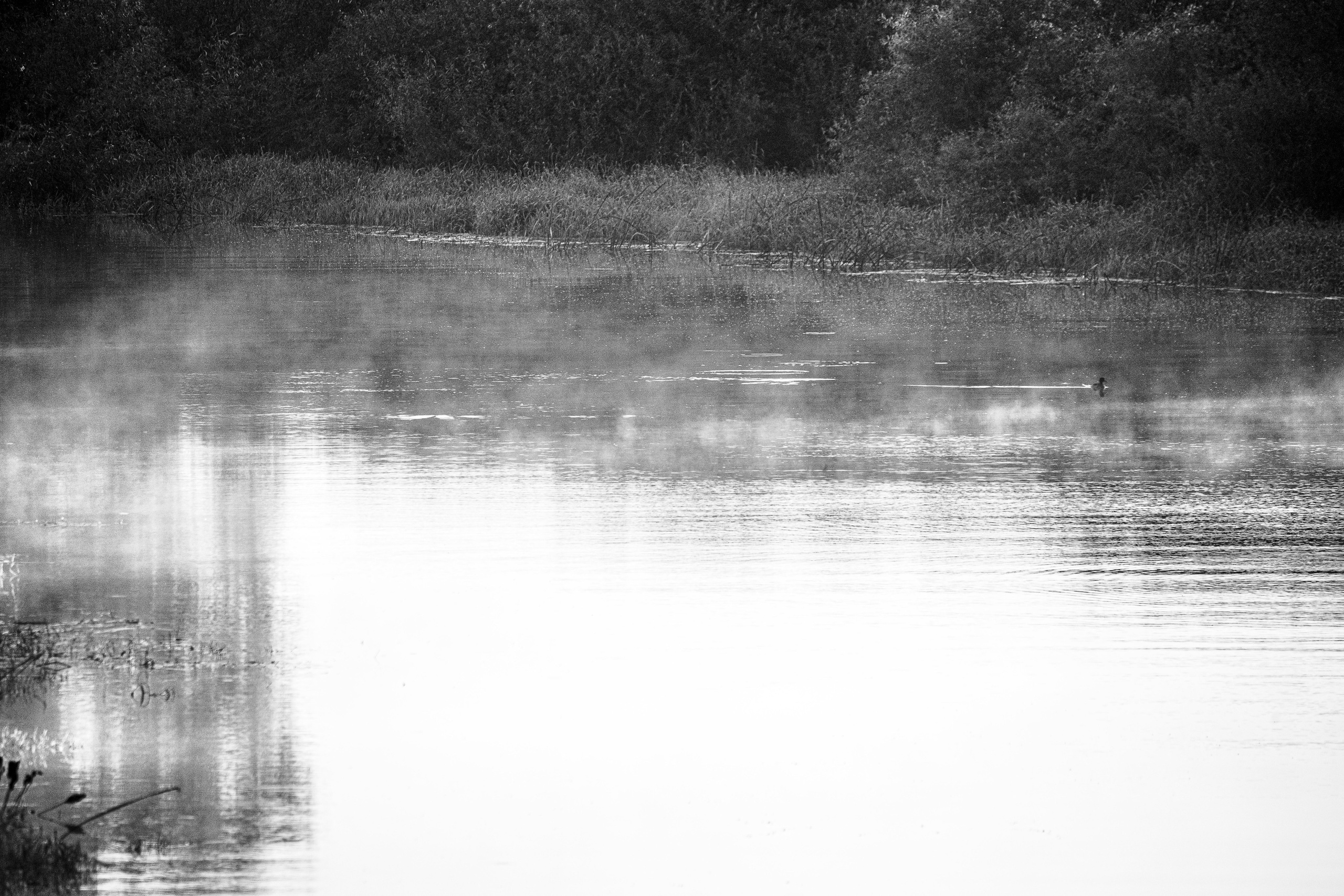 Фотографии Лены Соколовой