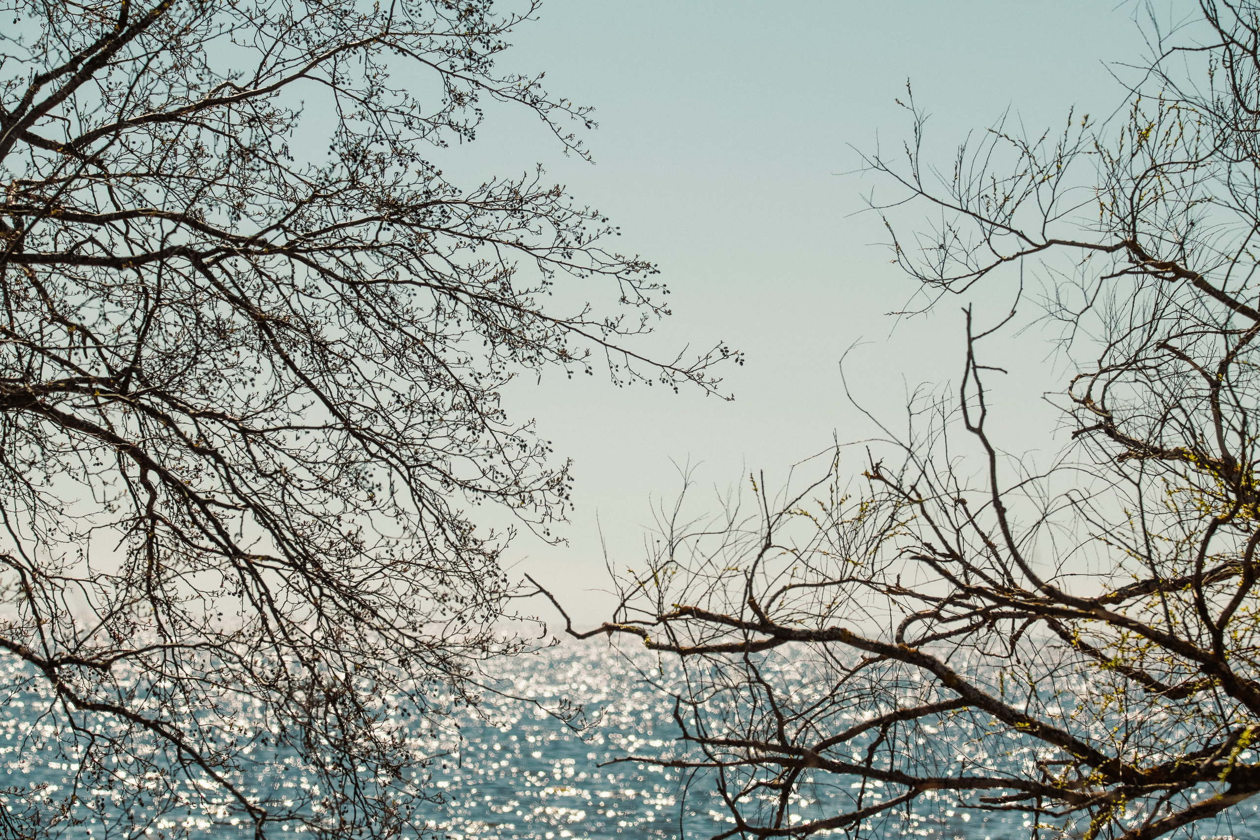 Цветные фотографии. Фотографии Лены Соколовой