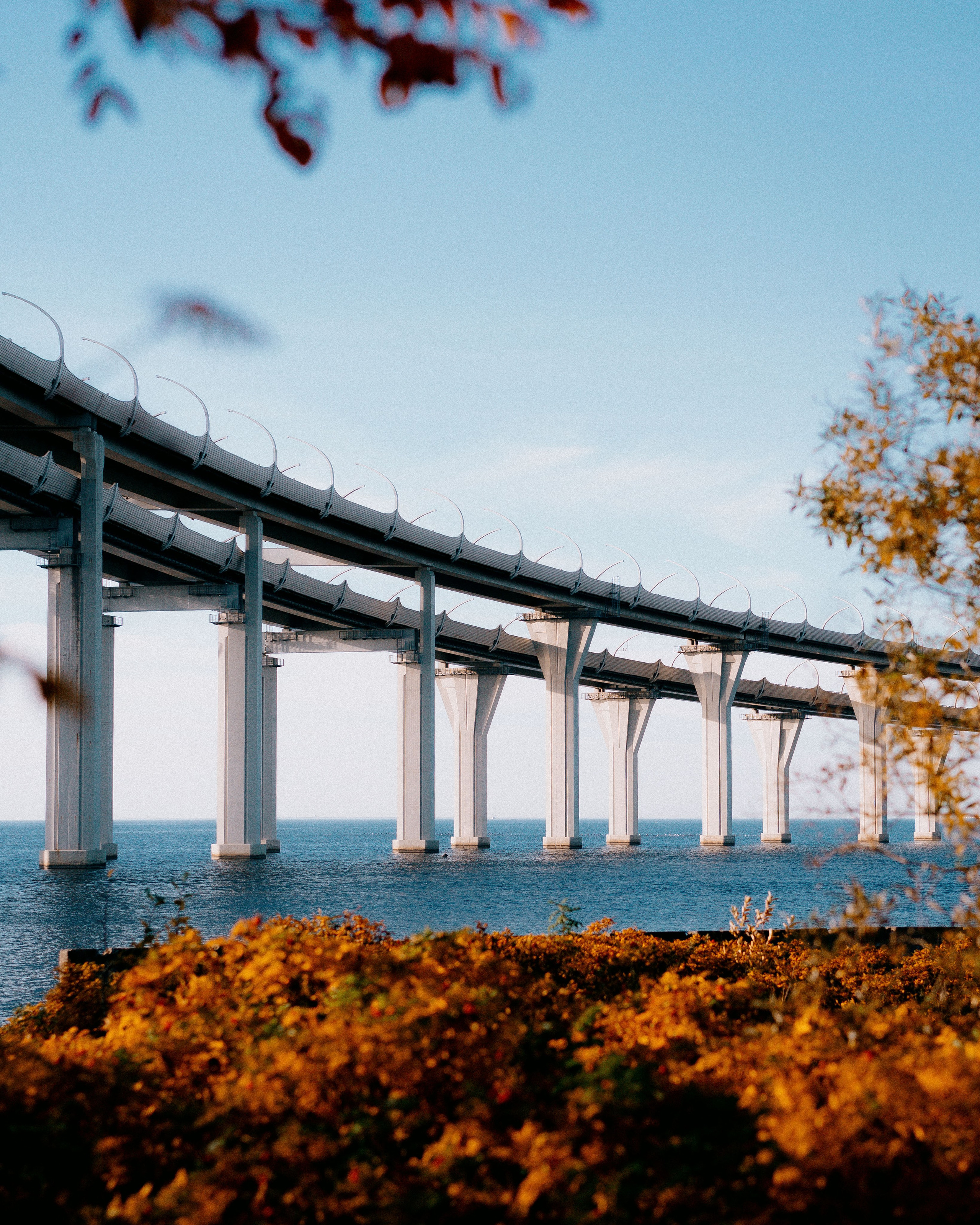 Фотограф Александр Чернышёв