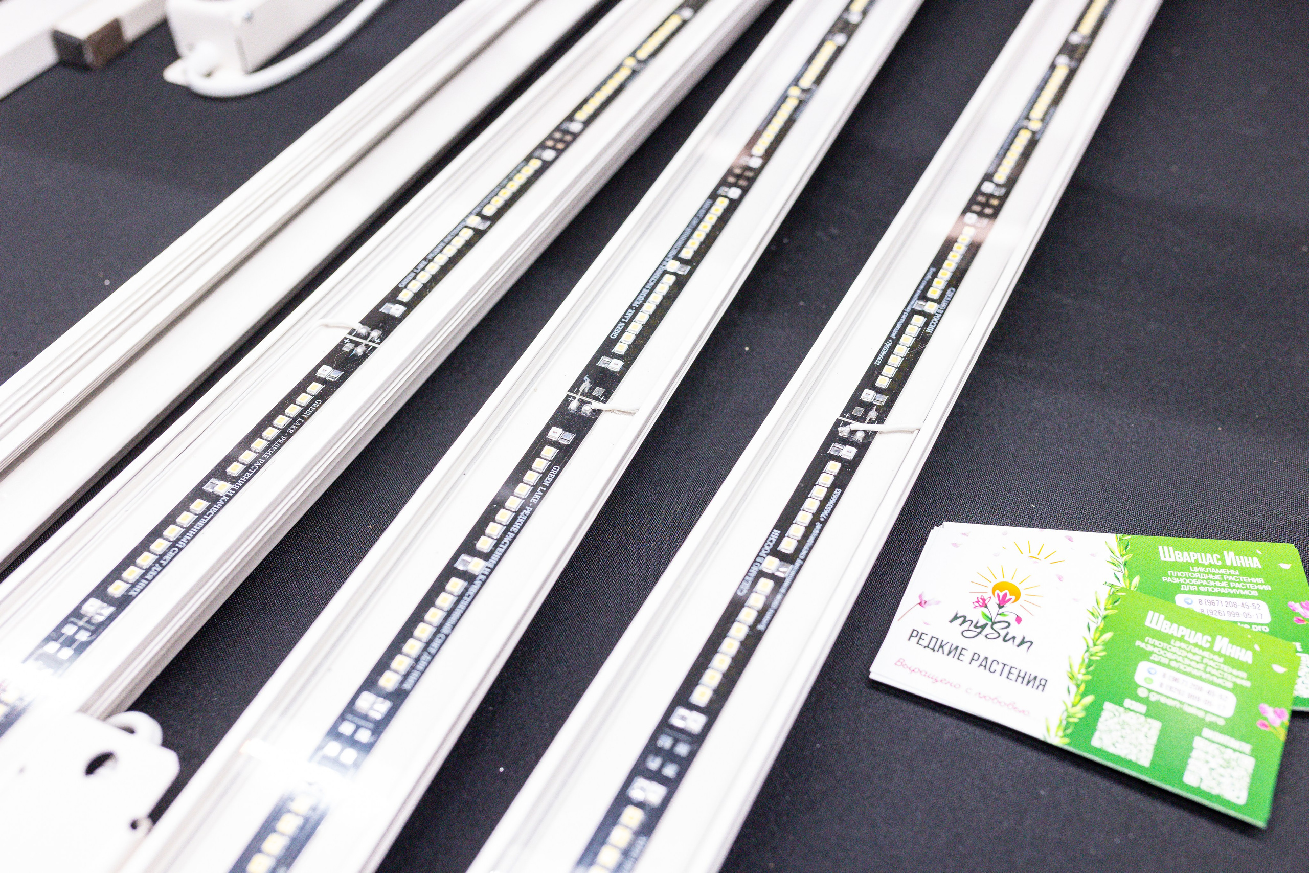 Монстериум 11–12 октября. Александра Куликова фотограф, Москва