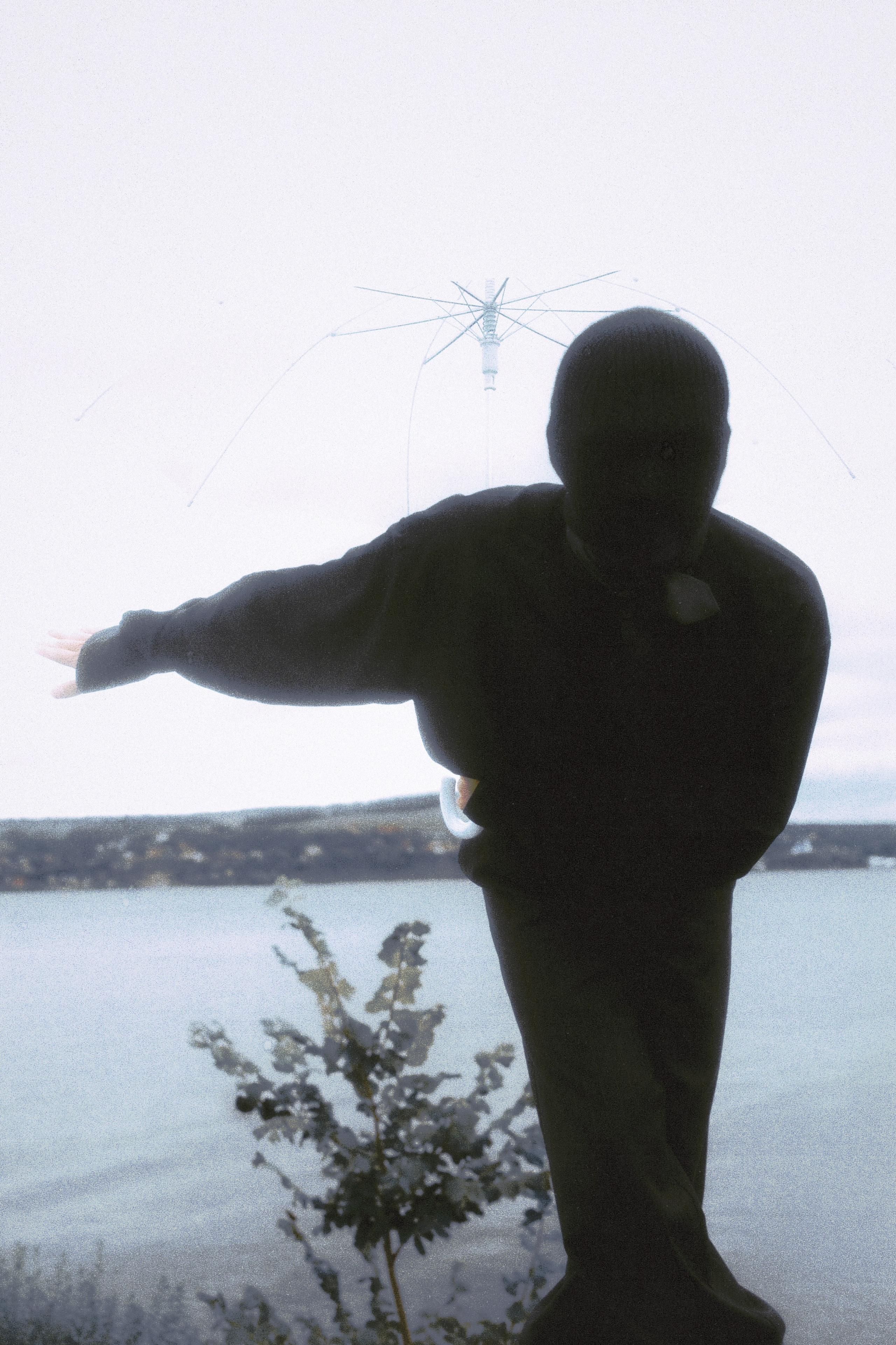 Любовь к ботанике. Фотограф Тимур Хайруллин